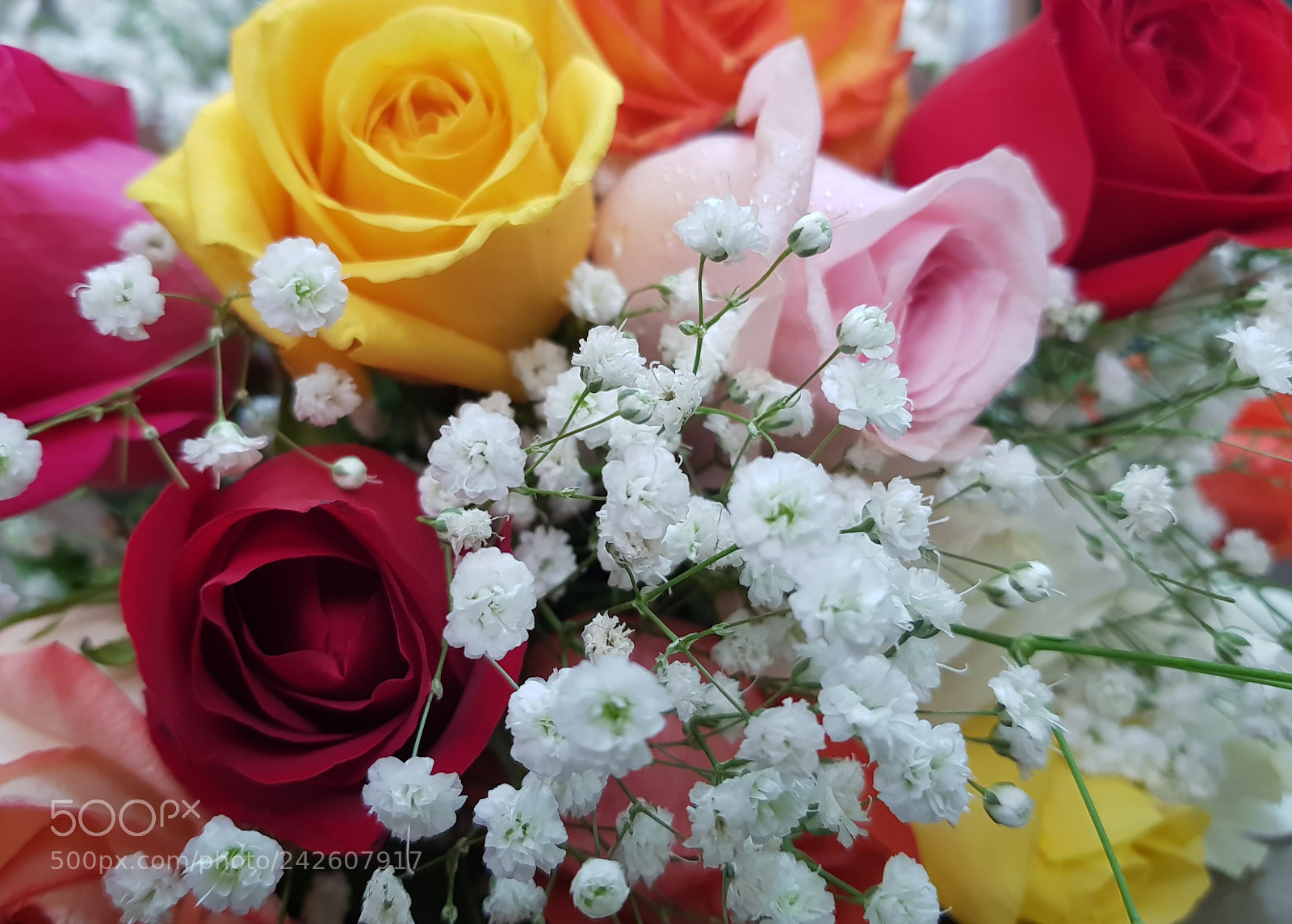 Samsung Galaxy S8+ sample photo. Ramo de rosas photography