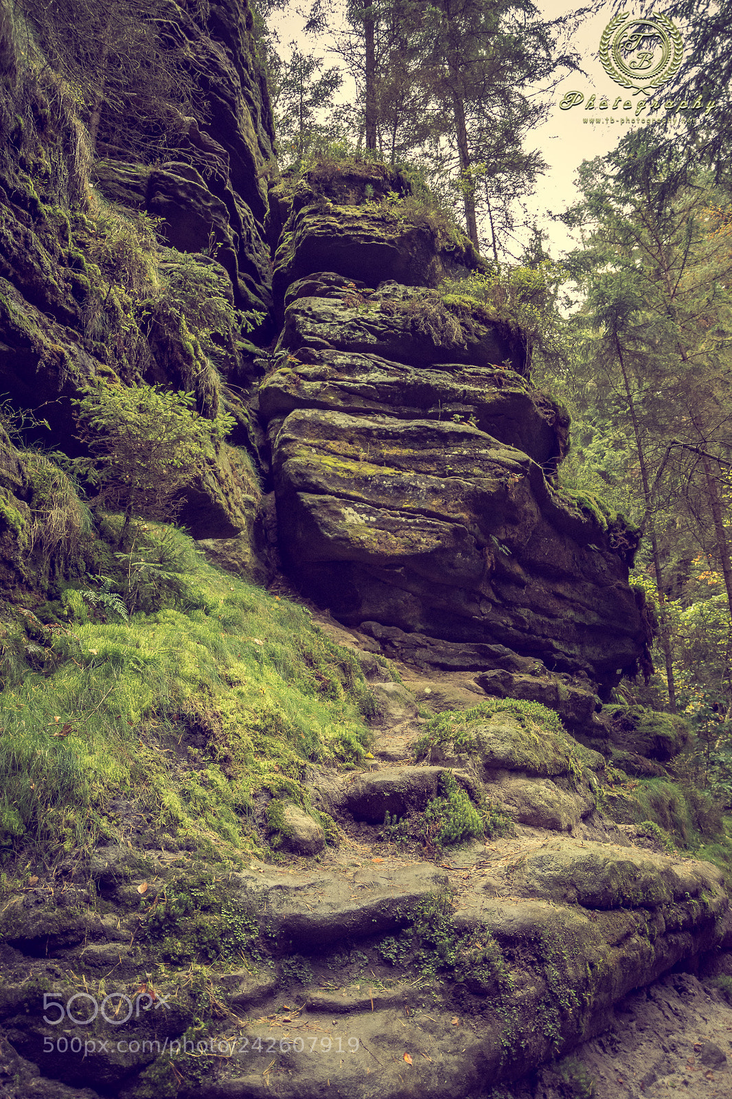 Nikon D7200 sample photo. Schwedenlöcher photography