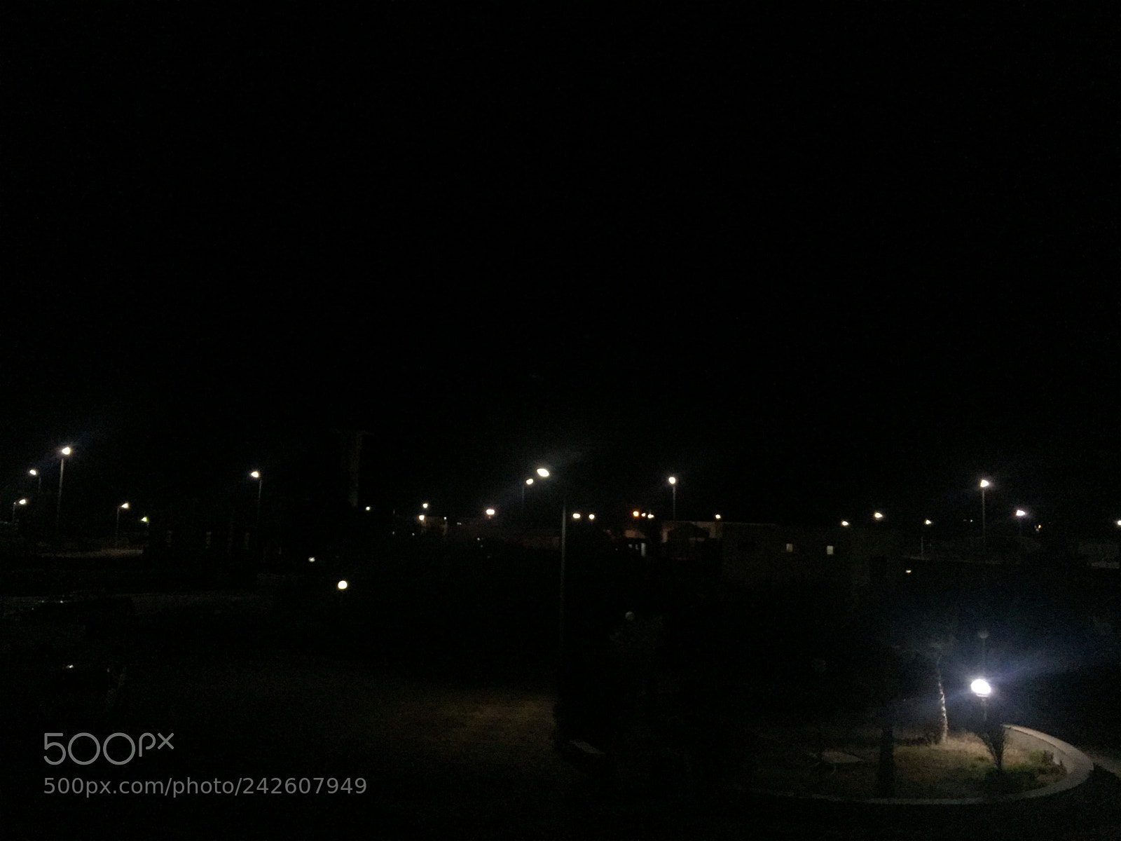 Apple iPhone 6 sample photo. Untitled photography