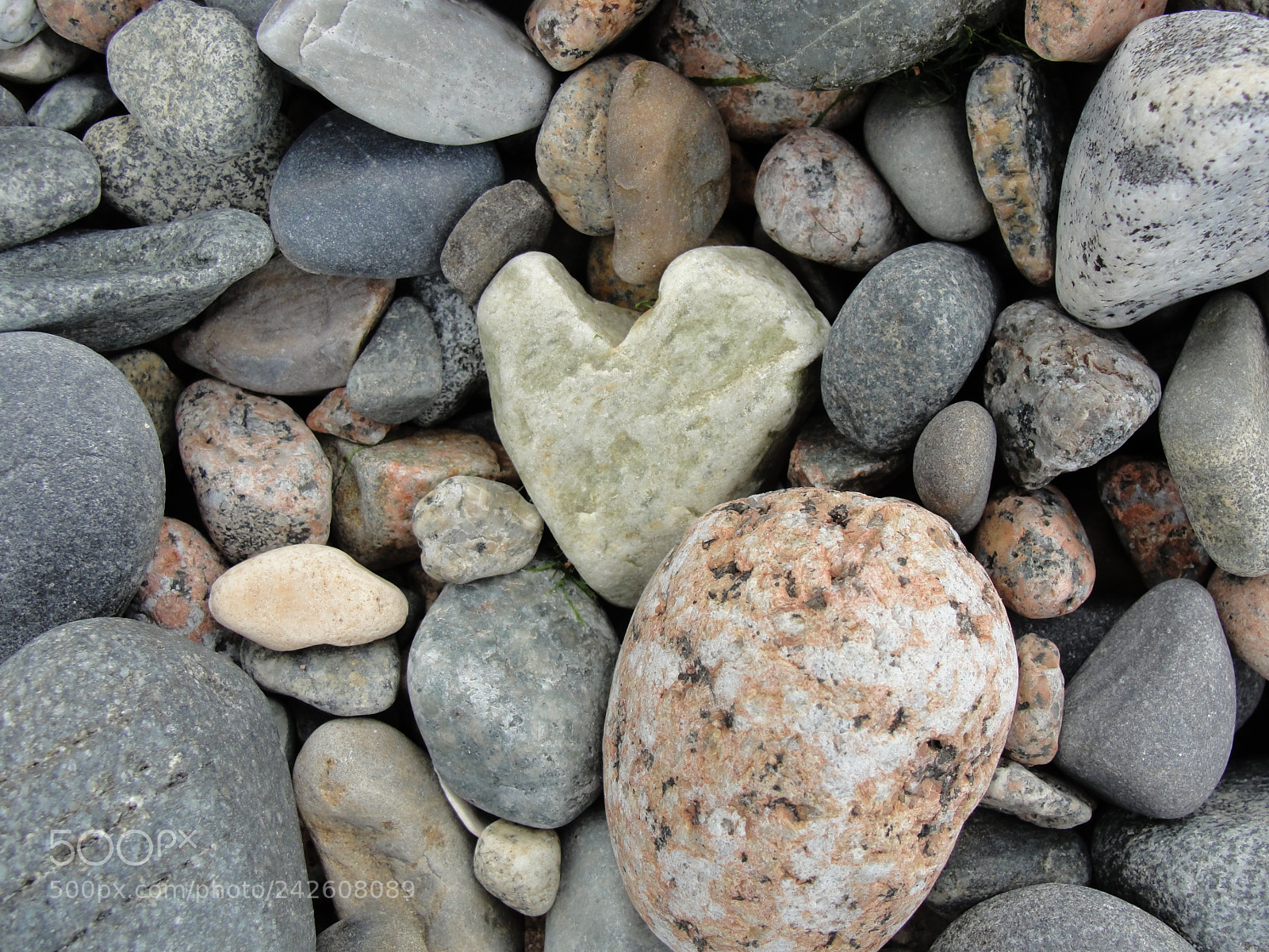 Sony Cyber-shot DSC-H20 sample photo. Heart shaped beach stone photography