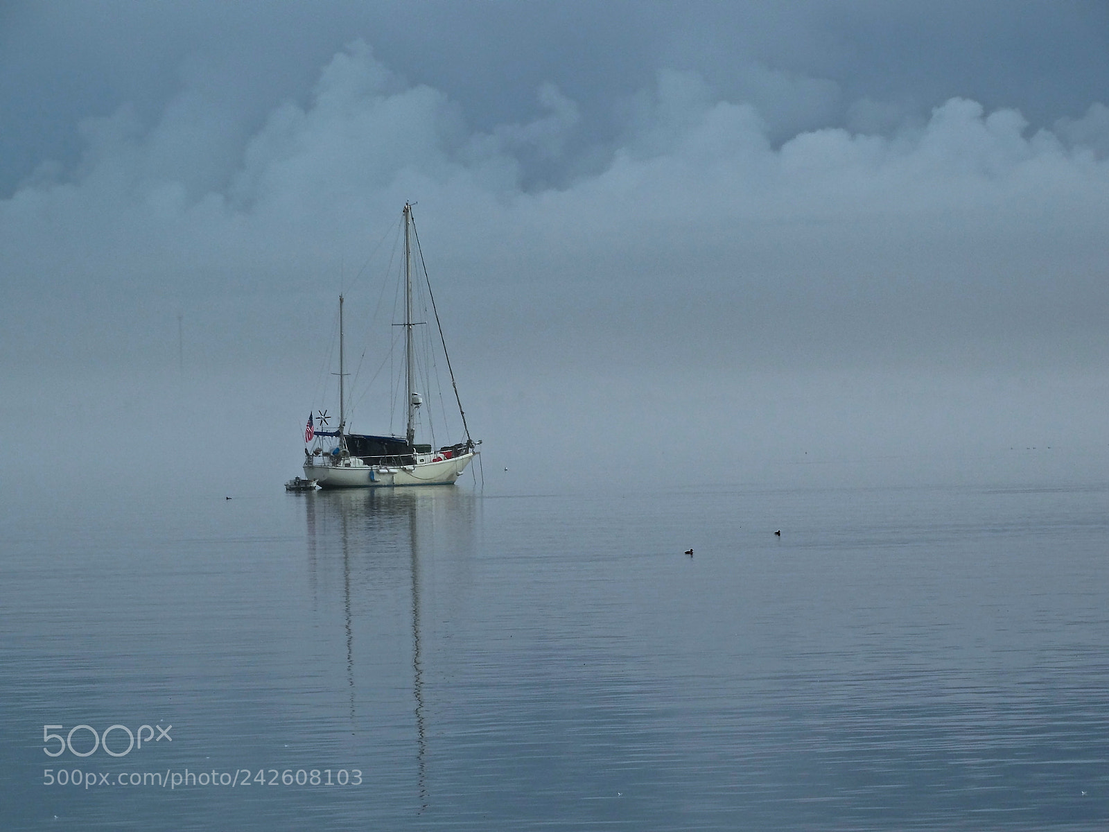 Sony Cyber-shot DSC-HX300 sample photo. Reflections and fog photography