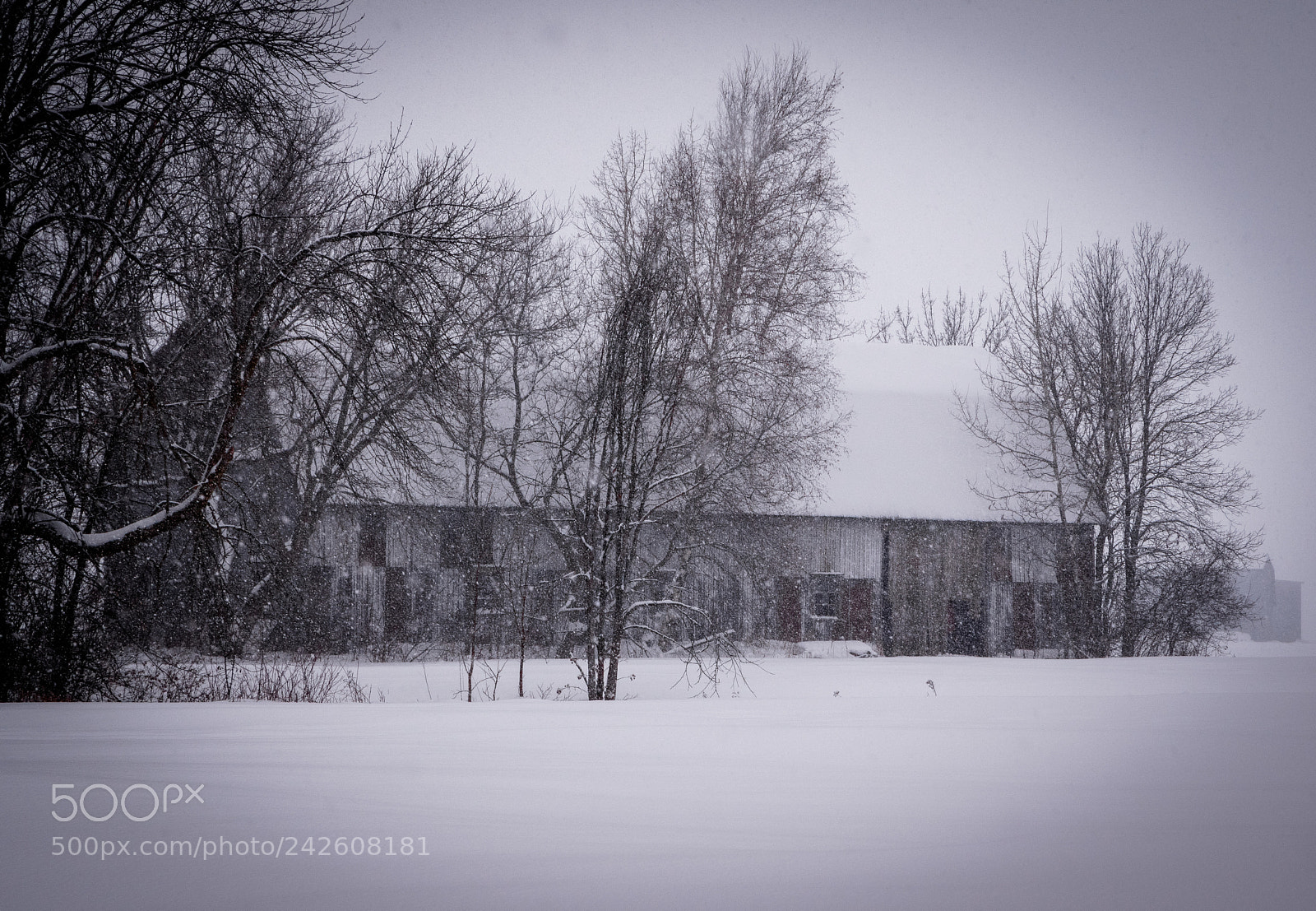 Pentax K-3 II sample photo. Une ferme l'hiver photography