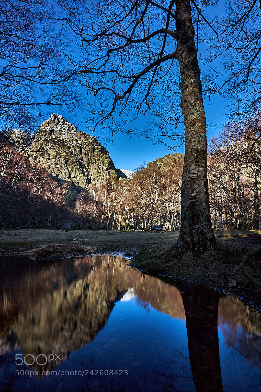 Sony a7 II sample photo. Reflection photography