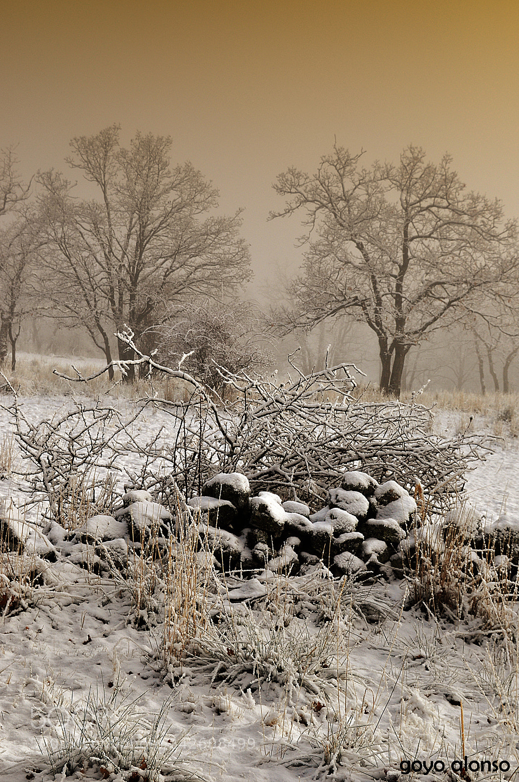 Nikon D5000 sample photo. Pura nieve photography