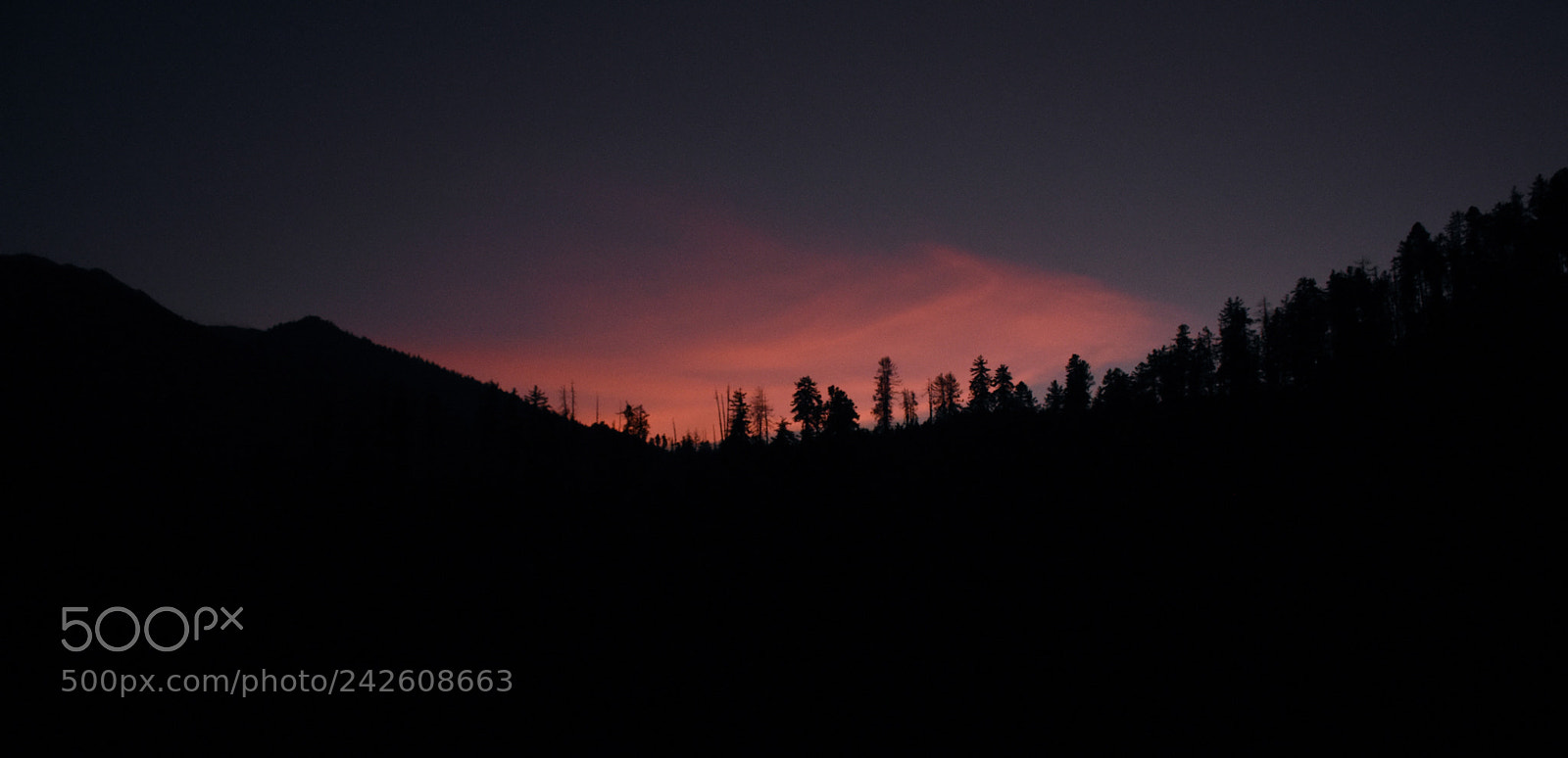 Nikon D7200 sample photo. Untitled photography