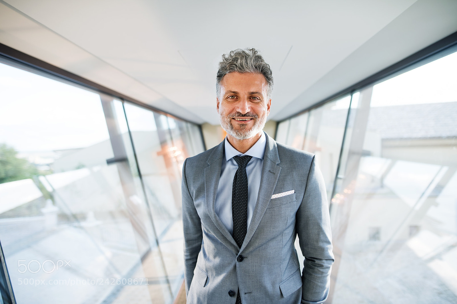 Nikon D5 sample photo. Handsome mature businessman travelling. photography