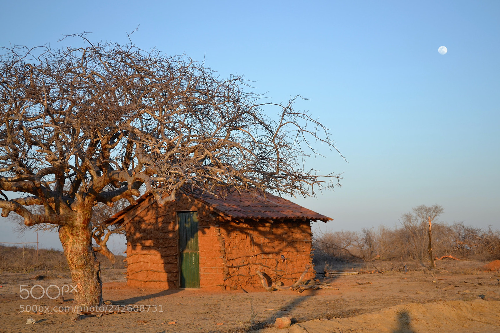 Nikon D3100 sample photo. Aldeia serrote dos campos photography