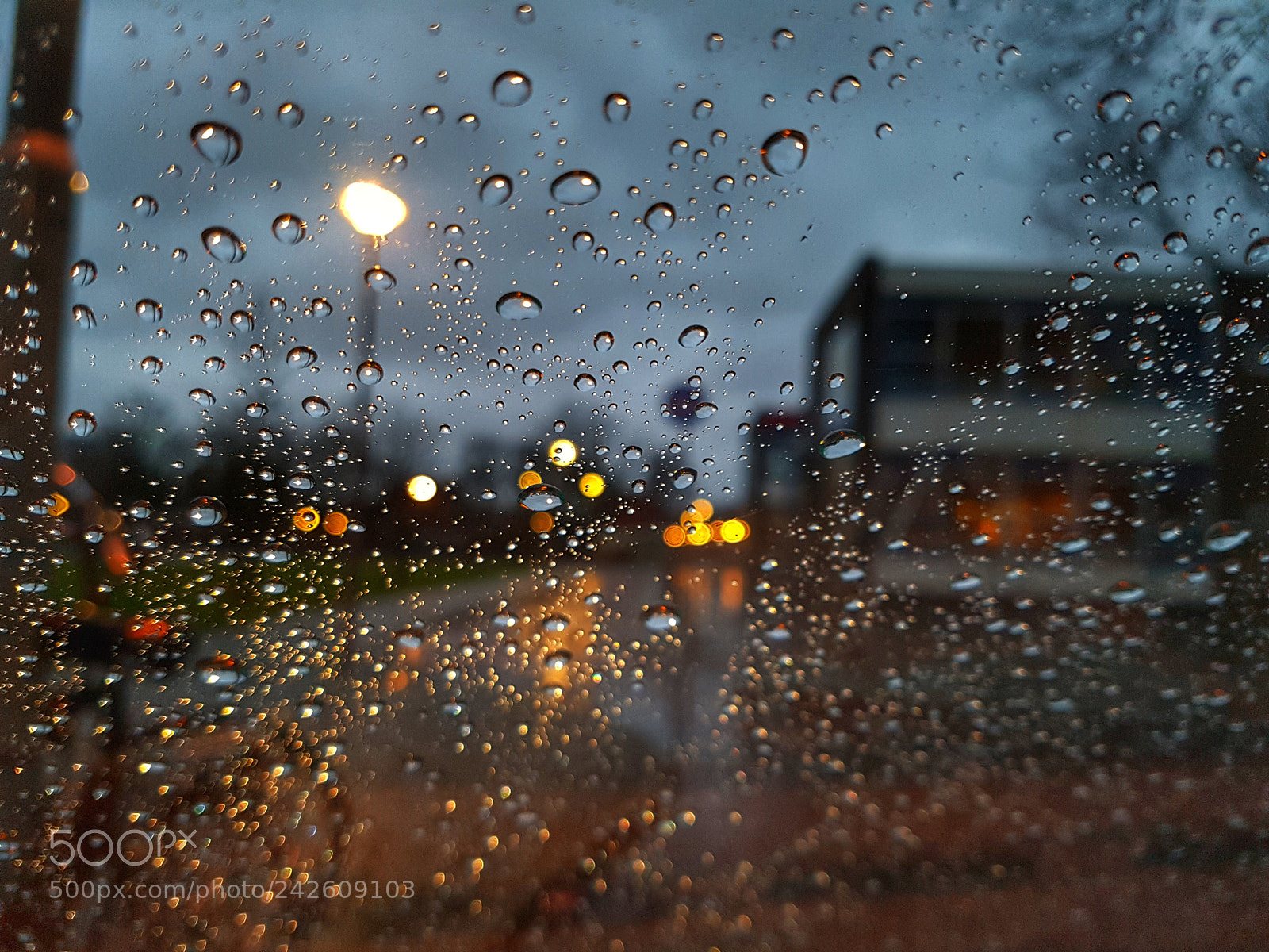 Samsung Galaxy S7 Edge sample photo. Blue monday photography