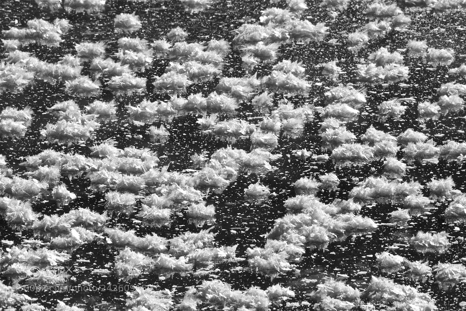 Nikon D600 sample photo. Abstract ice photography