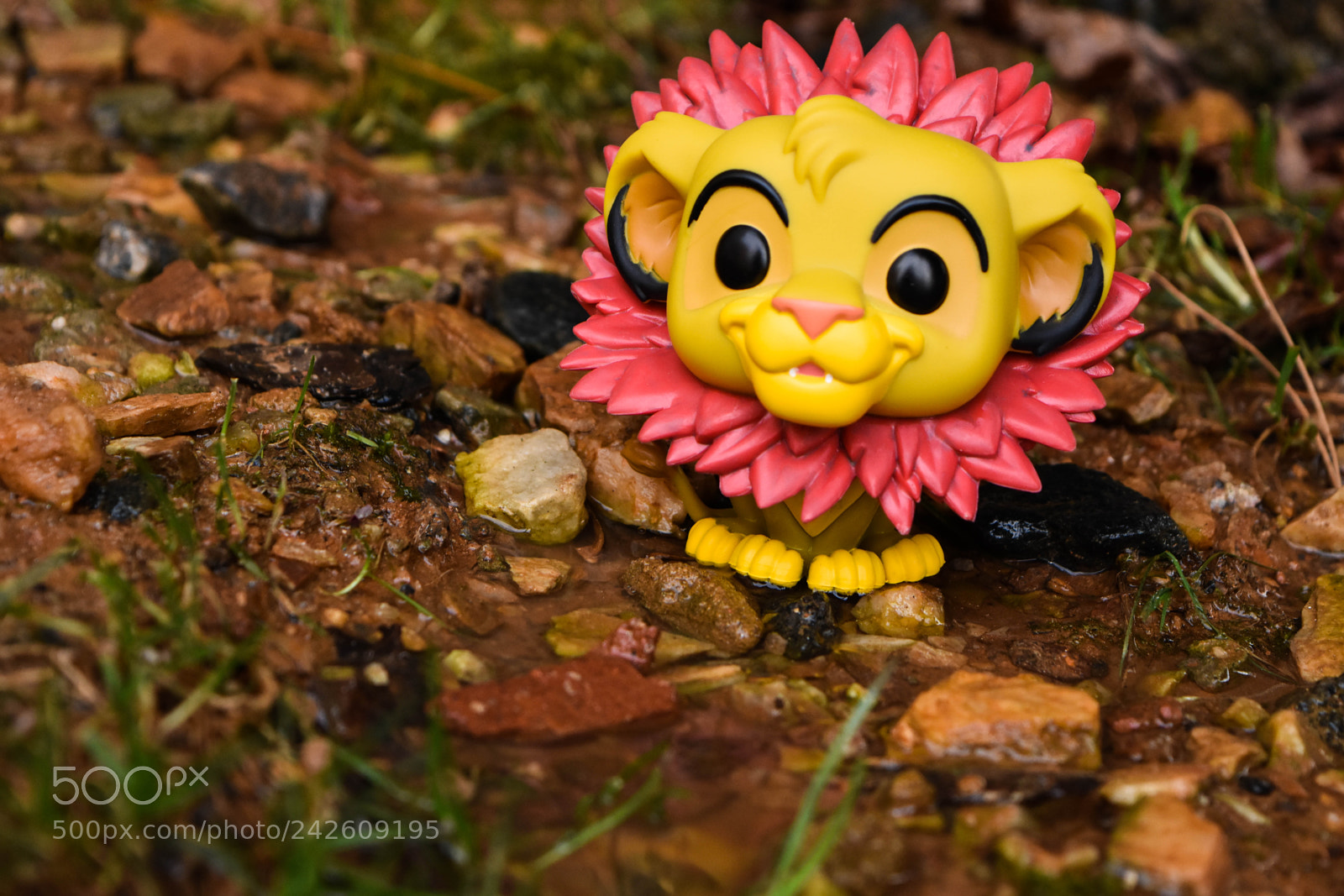 Nikon D7200 sample photo. Wonder photography