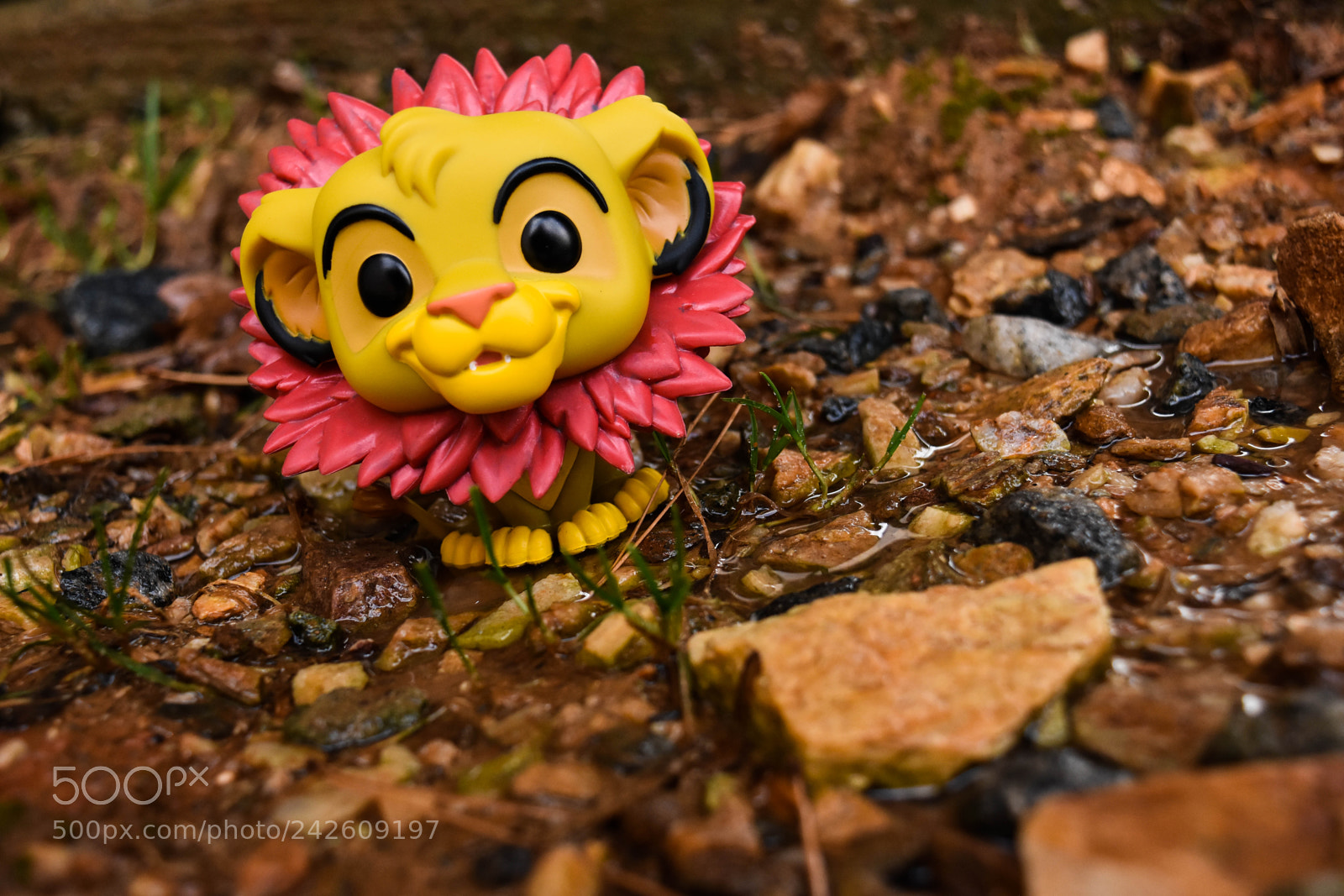 Nikon D7200 sample photo. Wonder photography