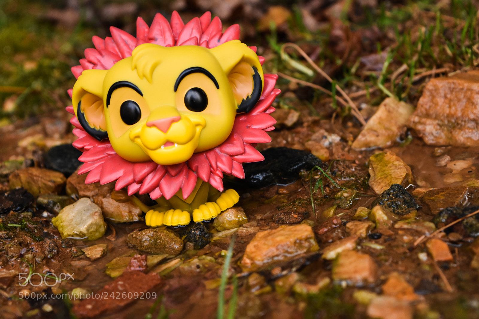 Nikon D7200 sample photo. Wonder photography