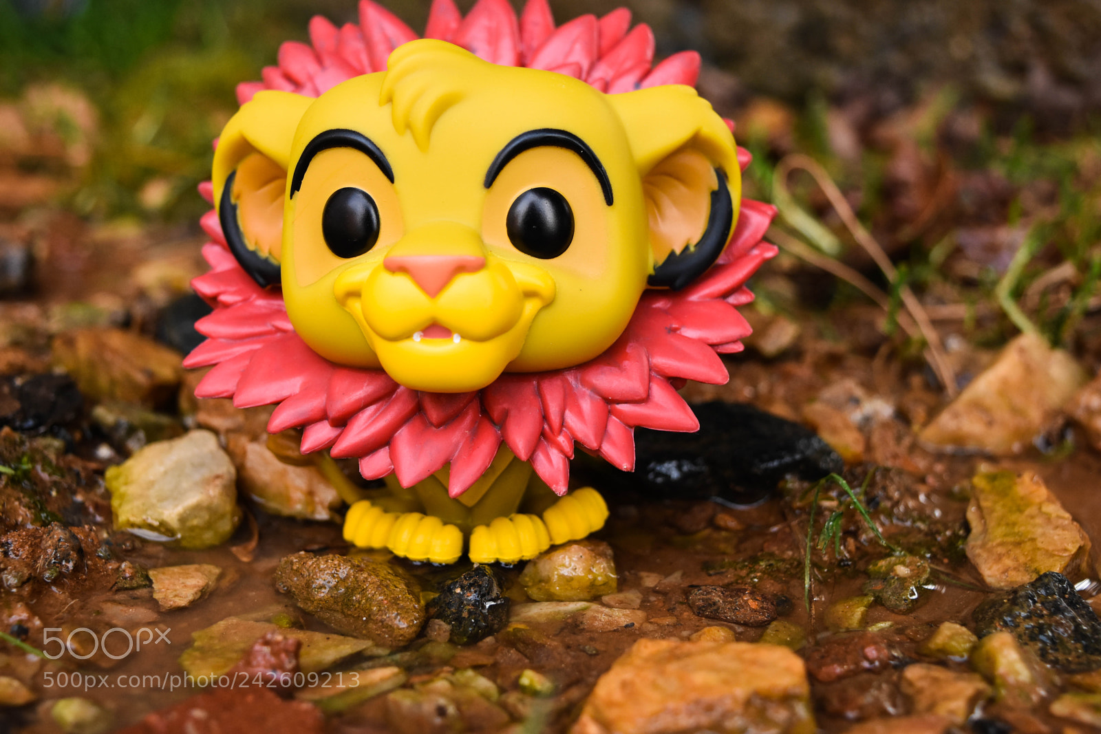 Nikon D7200 sample photo. Wonder photography
