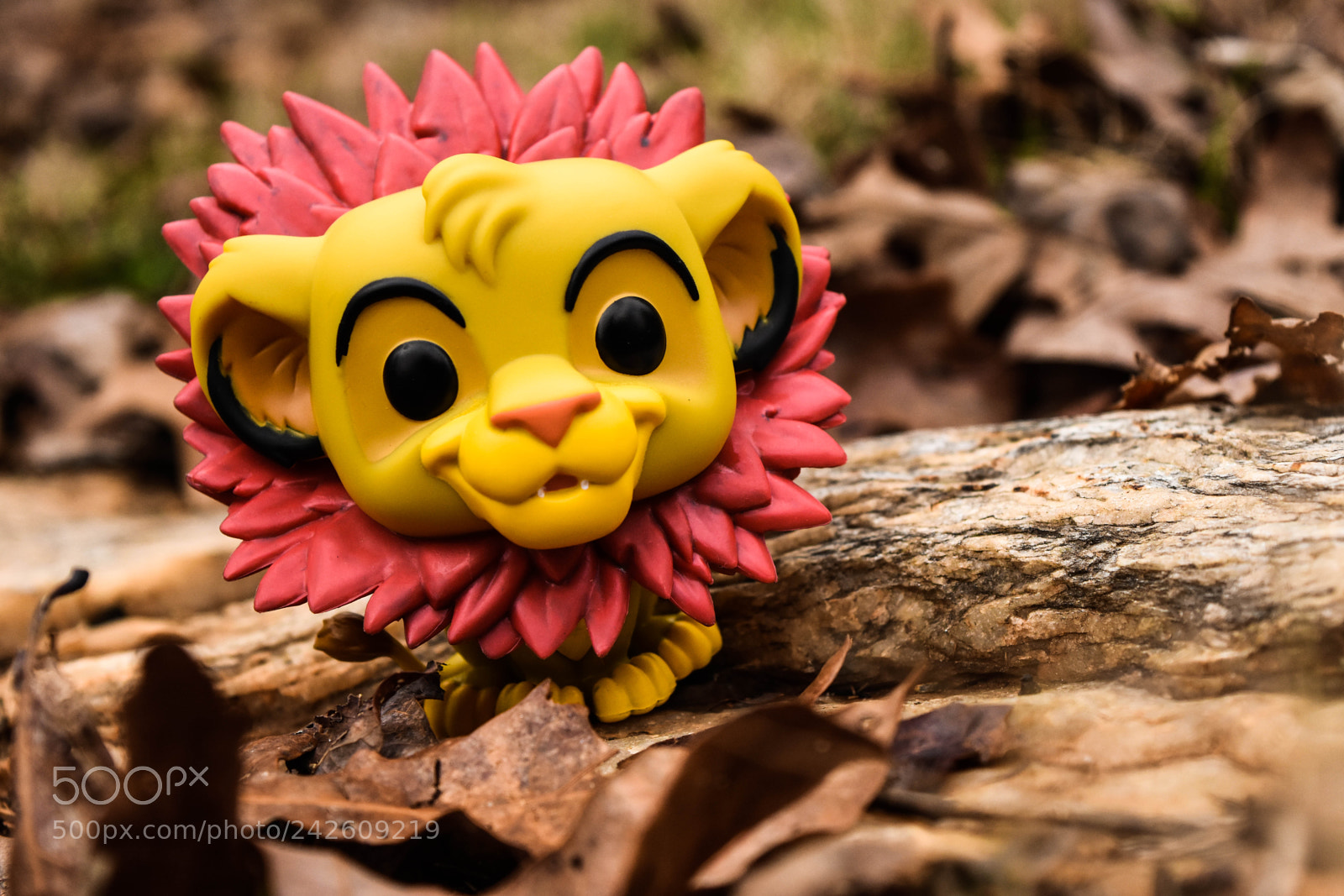 Nikon D7200 sample photo. Wonder photography