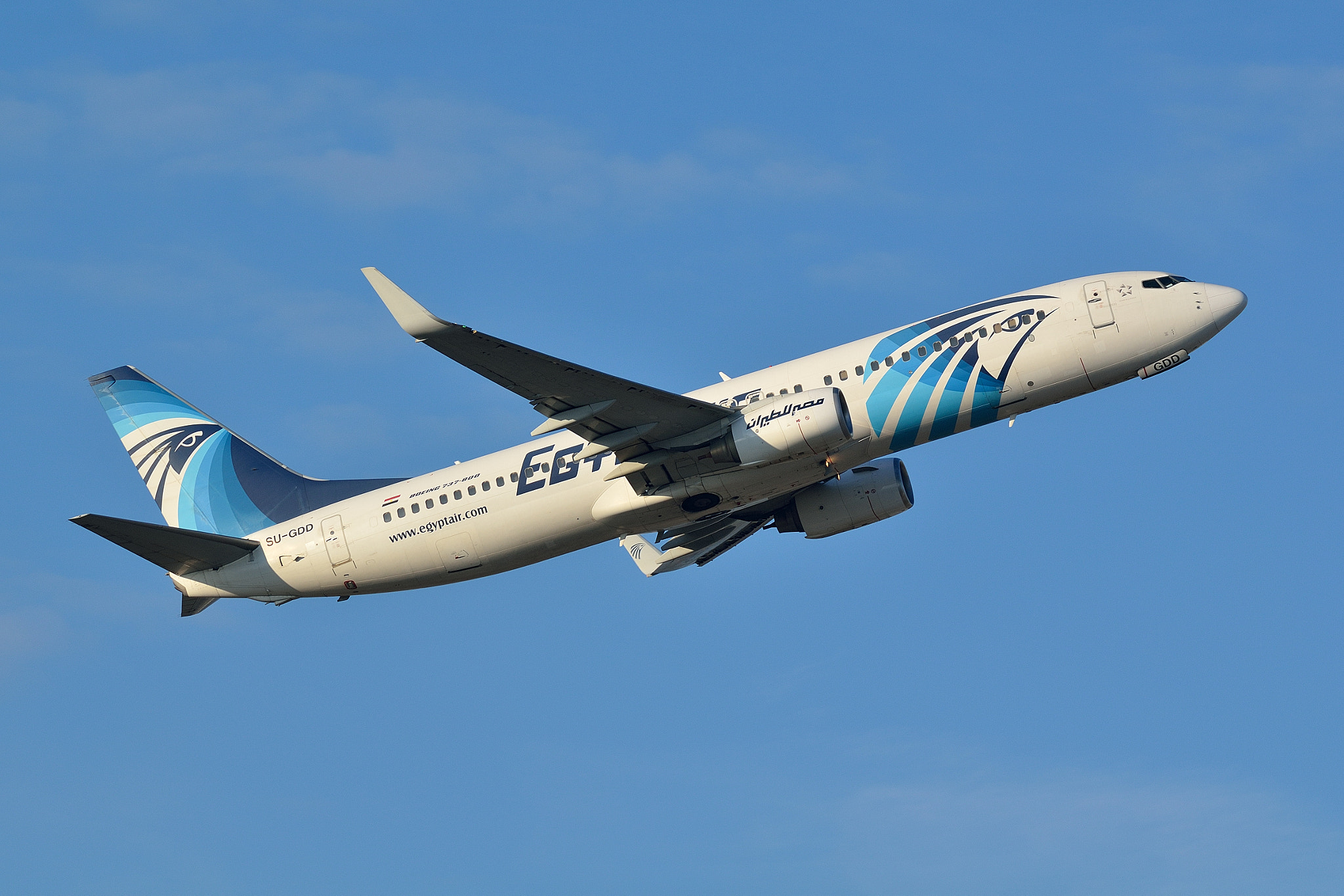 Sigma 150-600mm F5-6.3 DG OS HSM | C sample photo. Agyptair  boeing 737-800 photography