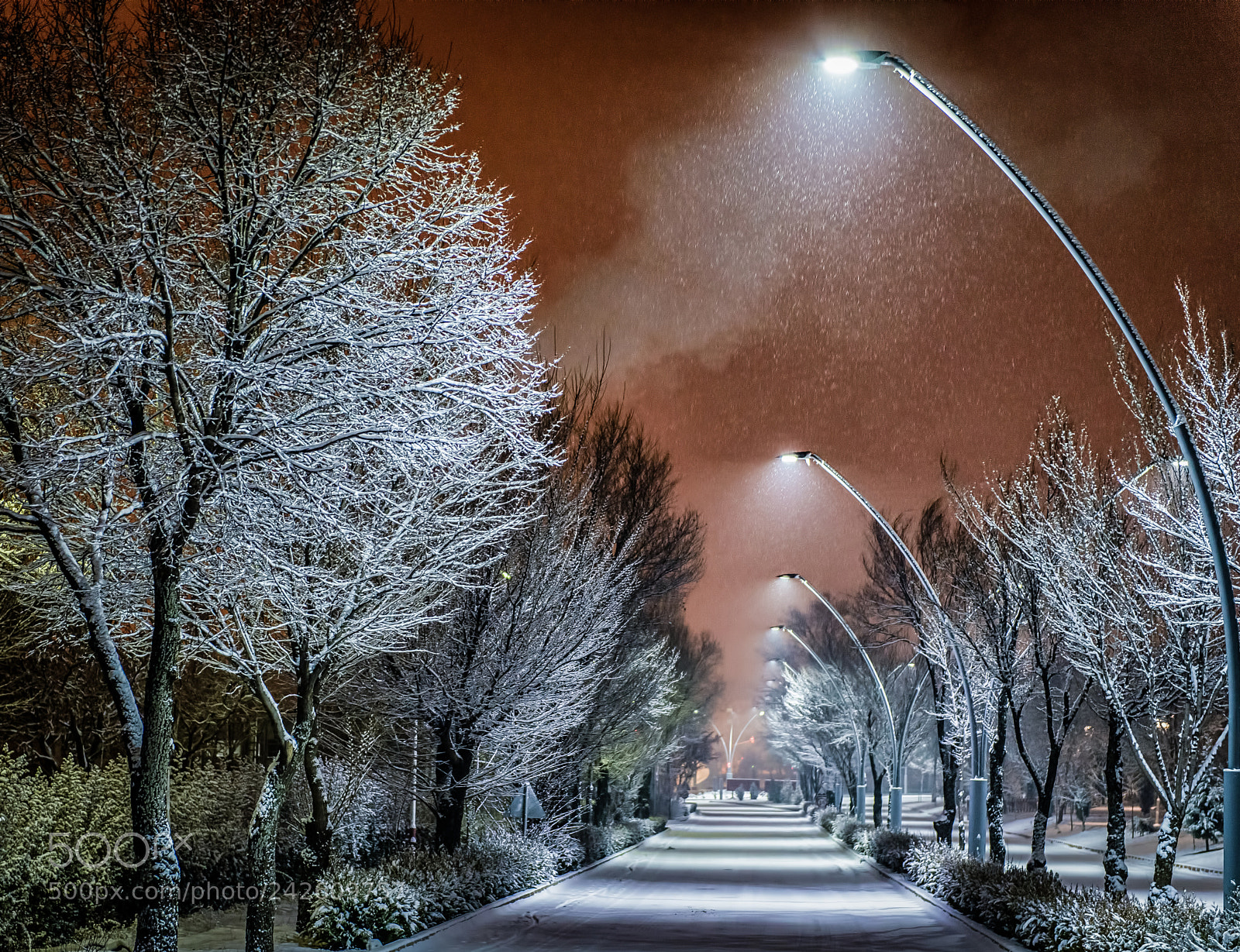 Nikon D800E sample photo. Winter night photography