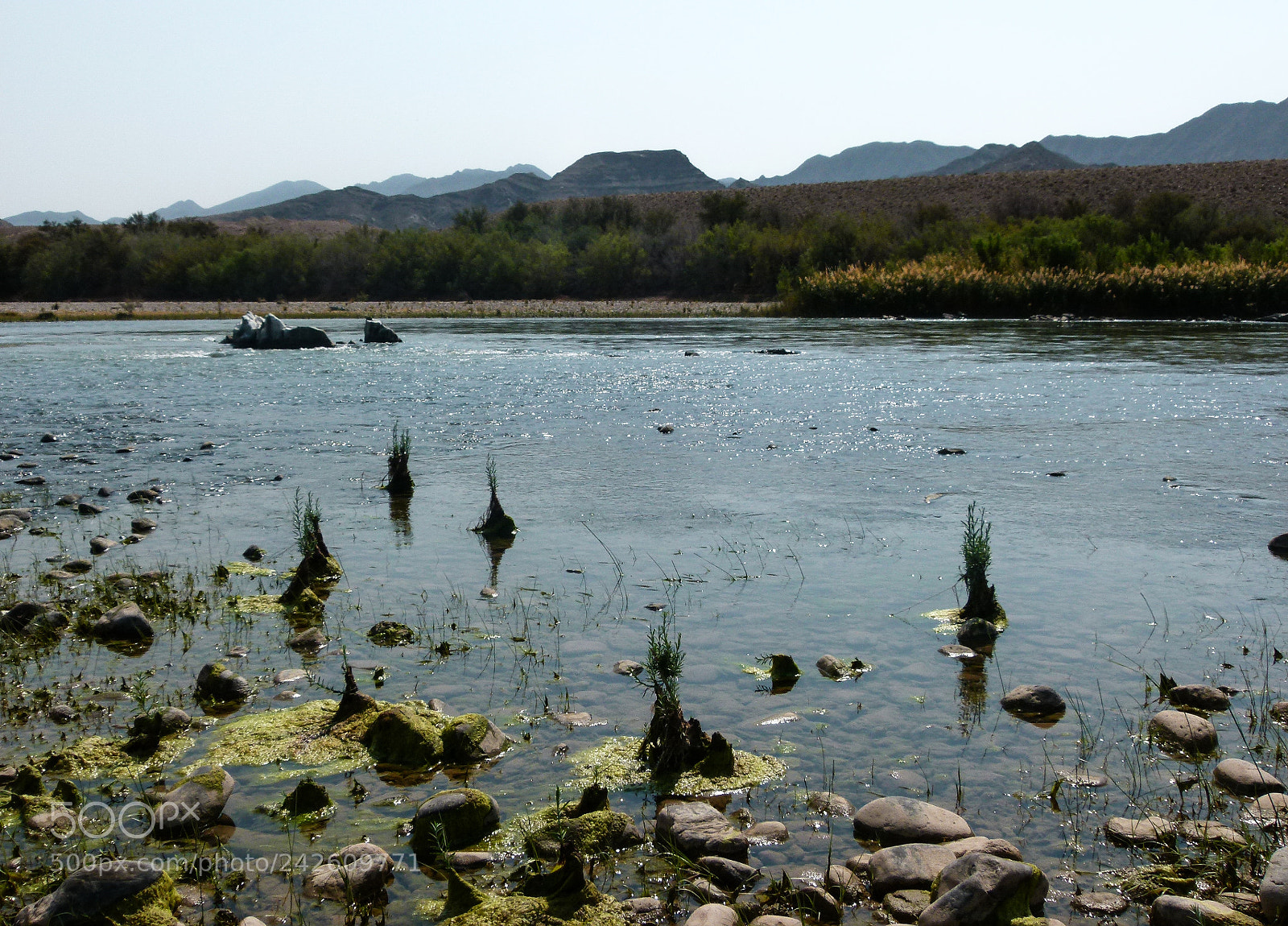 Panasonic Lumix DMC-FZ100 sample photo. South african river photography