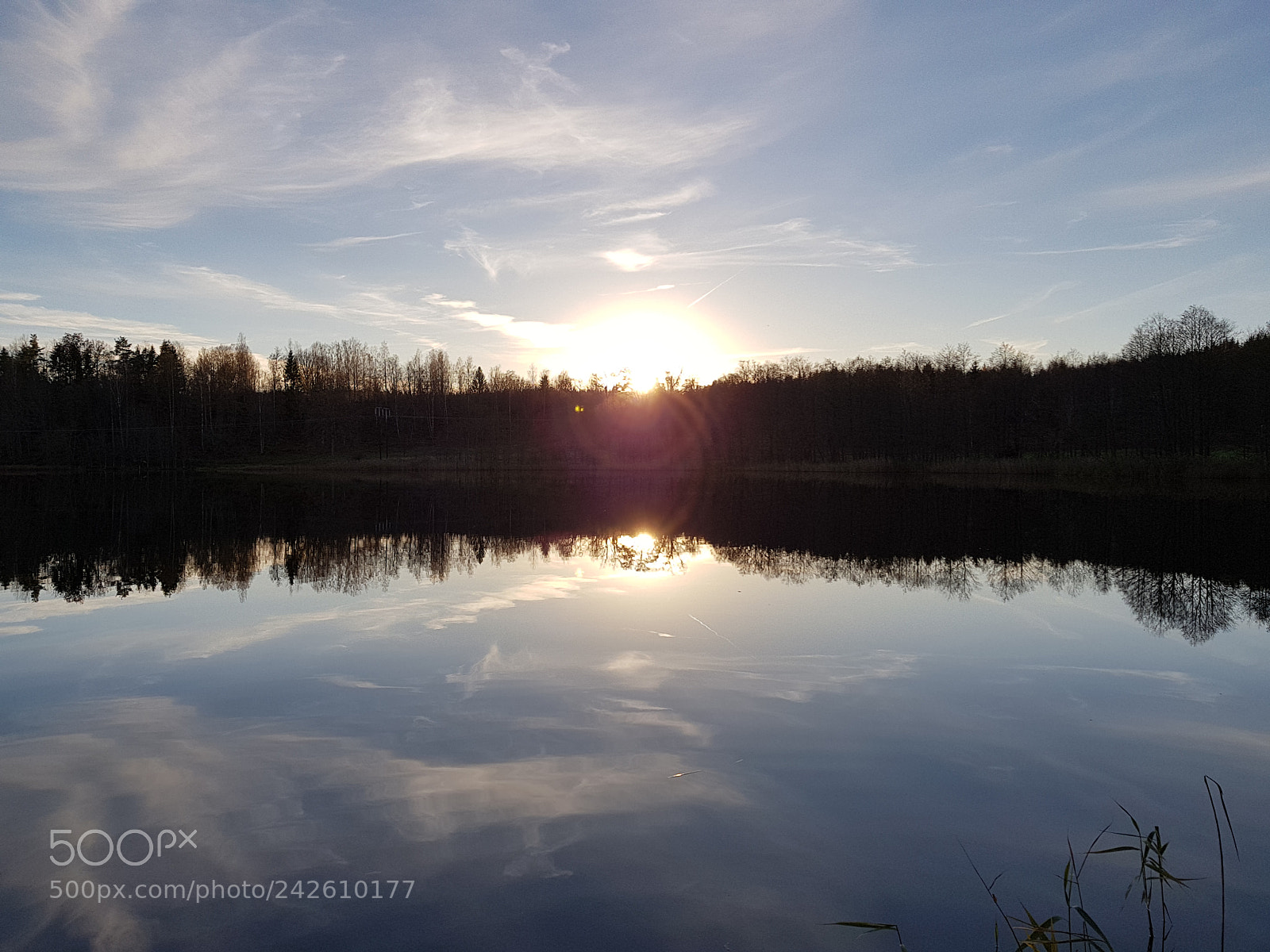 Samsung Galaxy S8 sample photo. Untitled photography