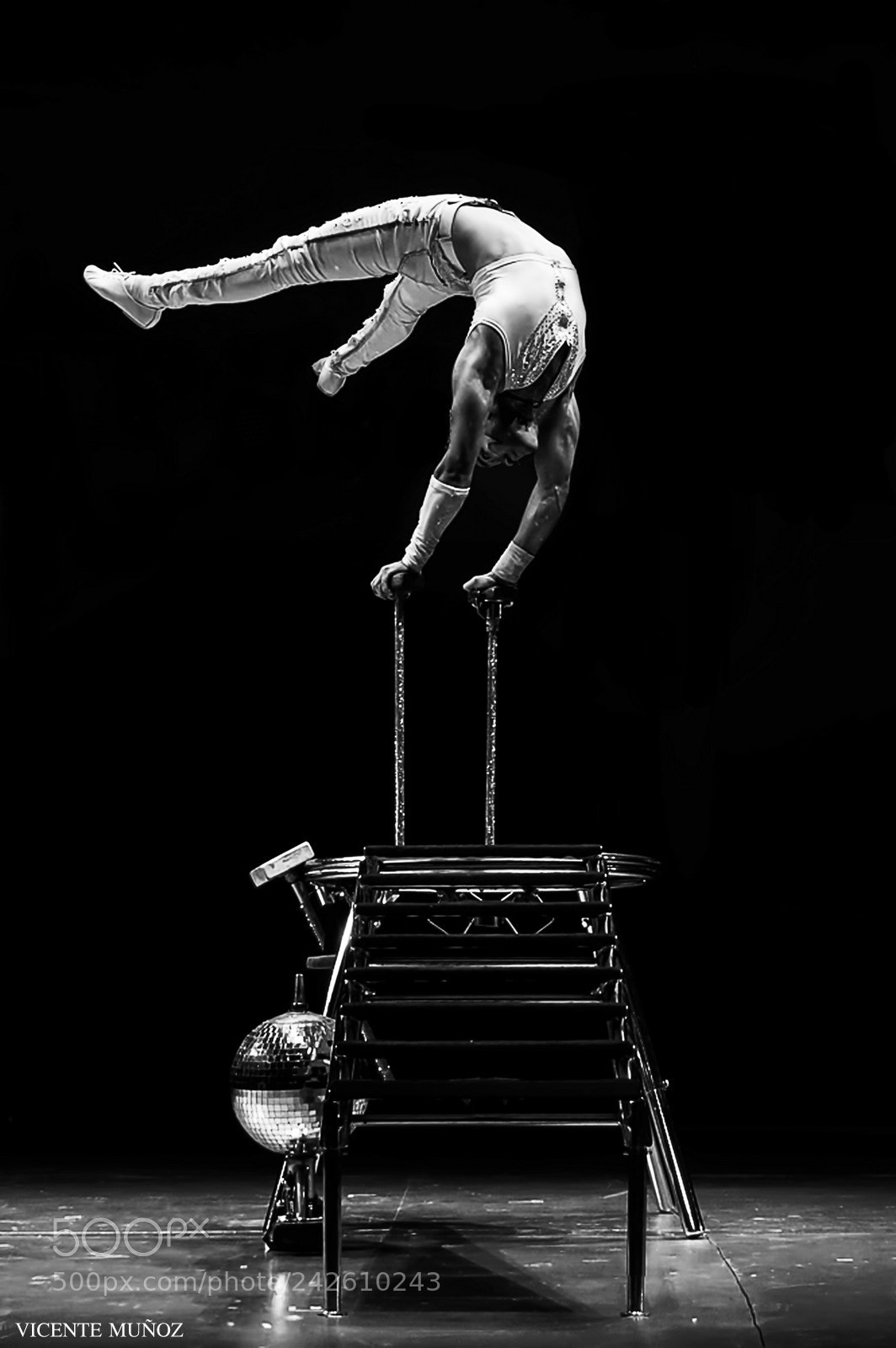 Nikon D3200 sample photo. Circus photography