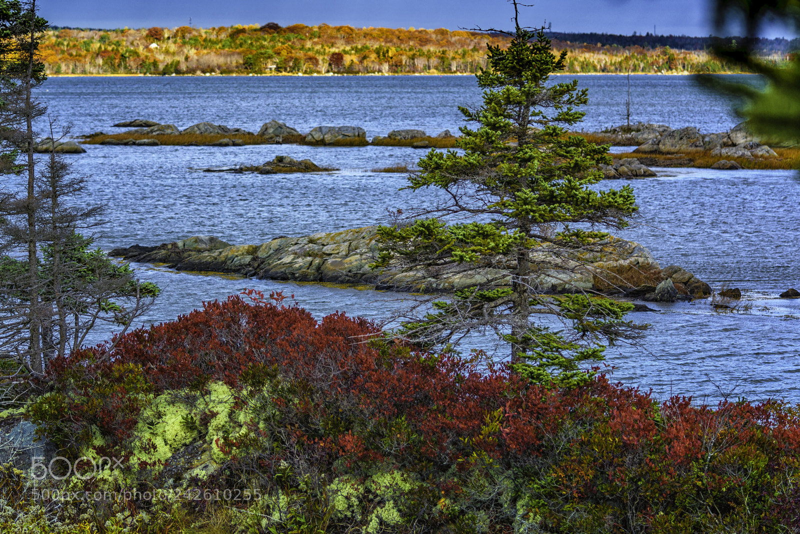 Nikon D500 sample photo. Cole harbour inlet. photography