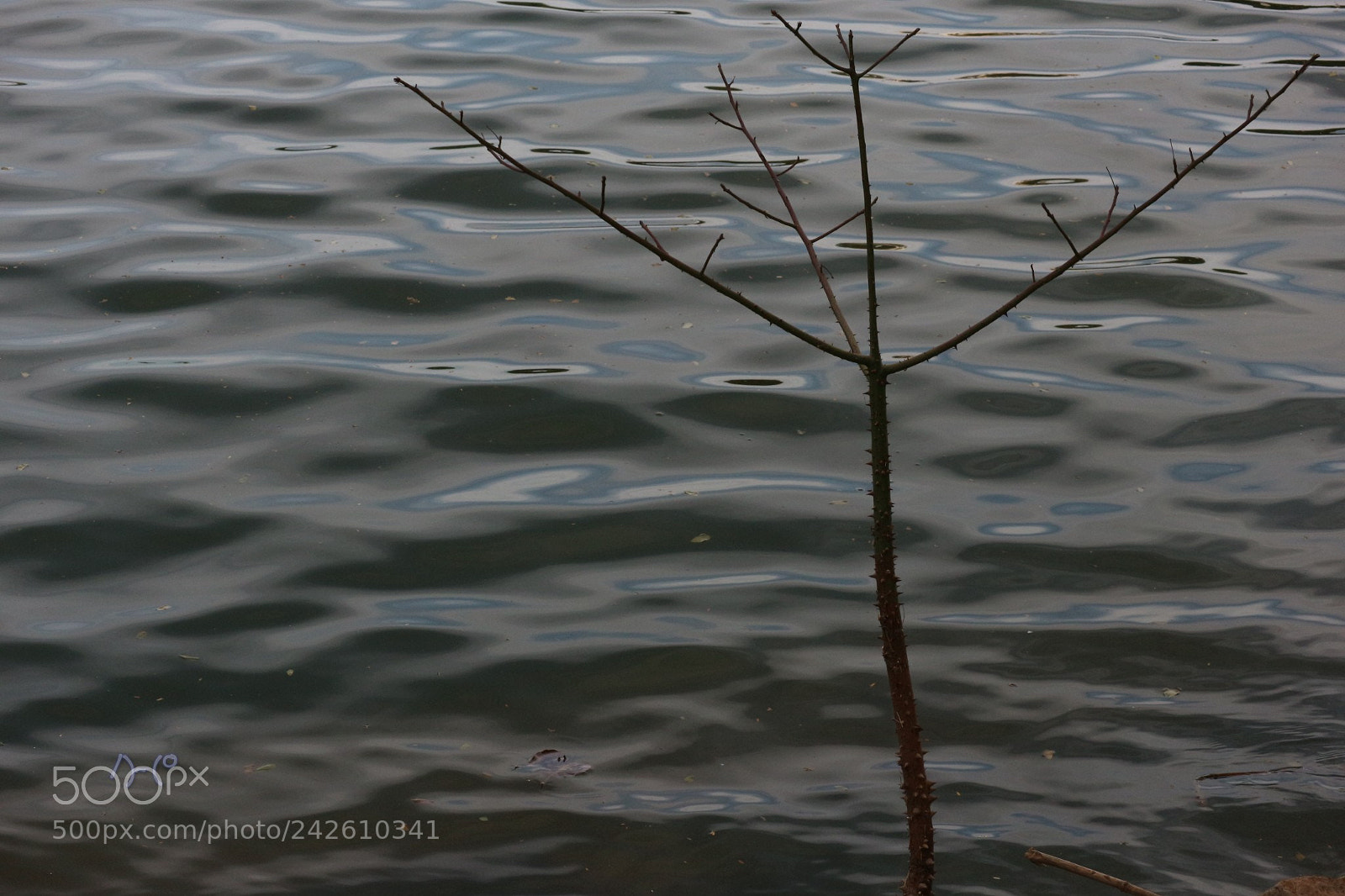 Canon EOS M10 sample photo. Spikes and waves photography