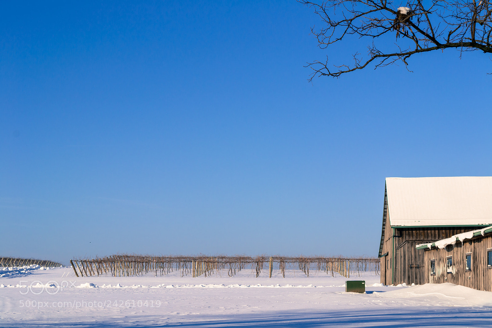 Nikon D3100 sample photo. After the snowstorm photography