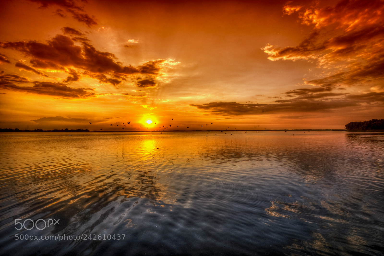 Nikon D800 sample photo. Marine sunset photography