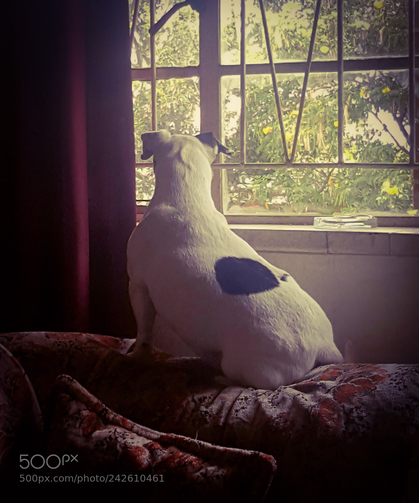 Samsung Galaxy Note5 sample photo. Untitled photography