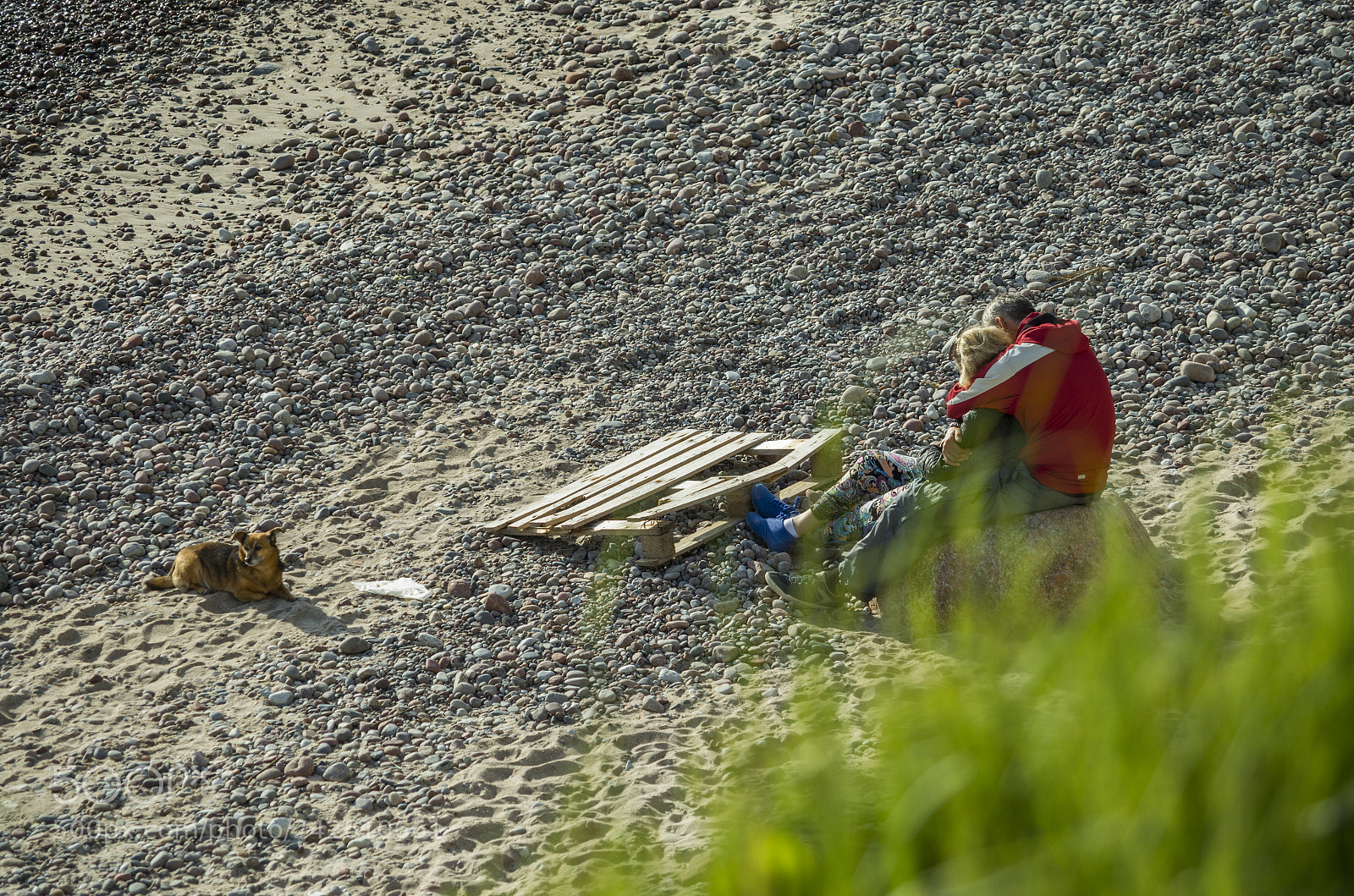 Pentax K-50 sample photo. Love is in the photography