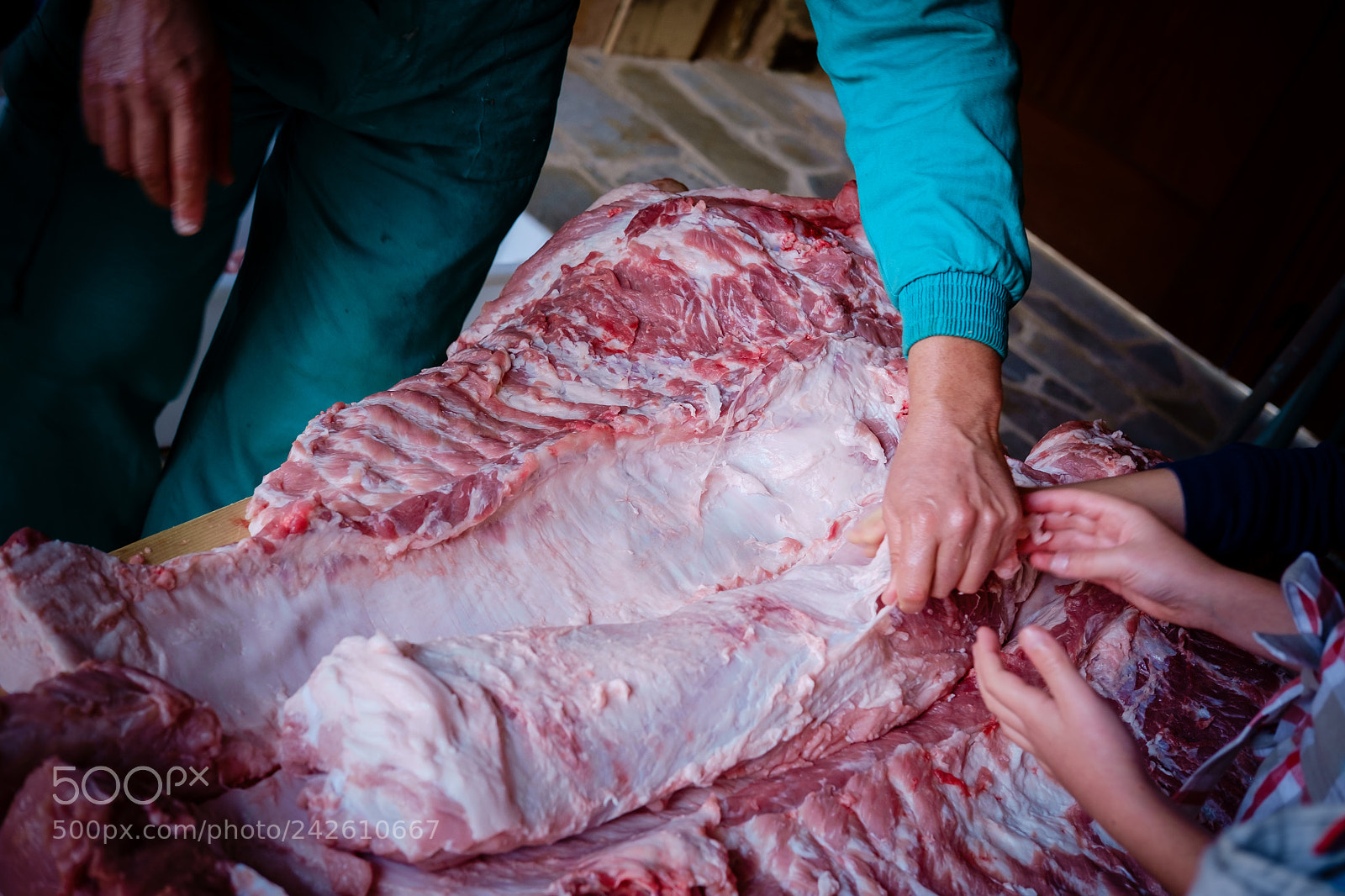 Fujifilm X-Pro1 sample photo. Pig slaughter - 2 photography