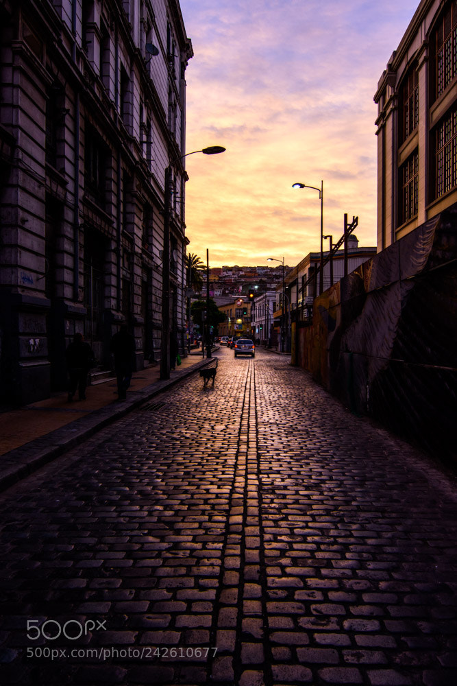 Nikon D7200 sample photo. Puerto valparaiso photography
