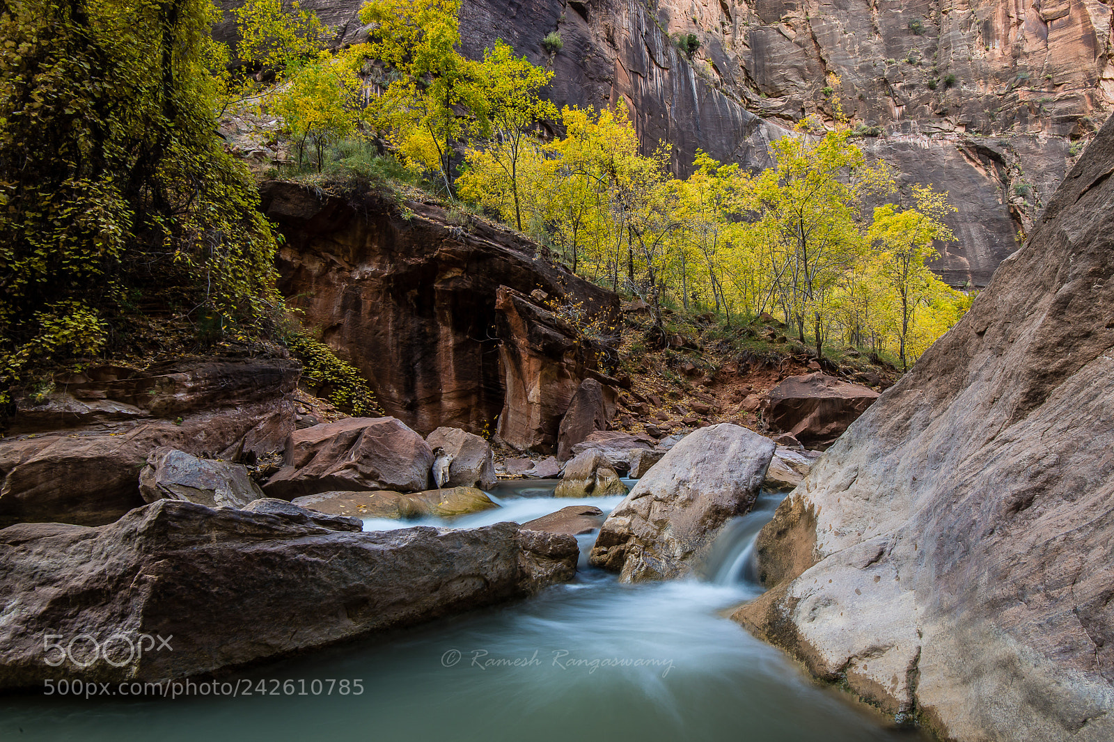Nikon D800E sample photo. Zion national park while photography
