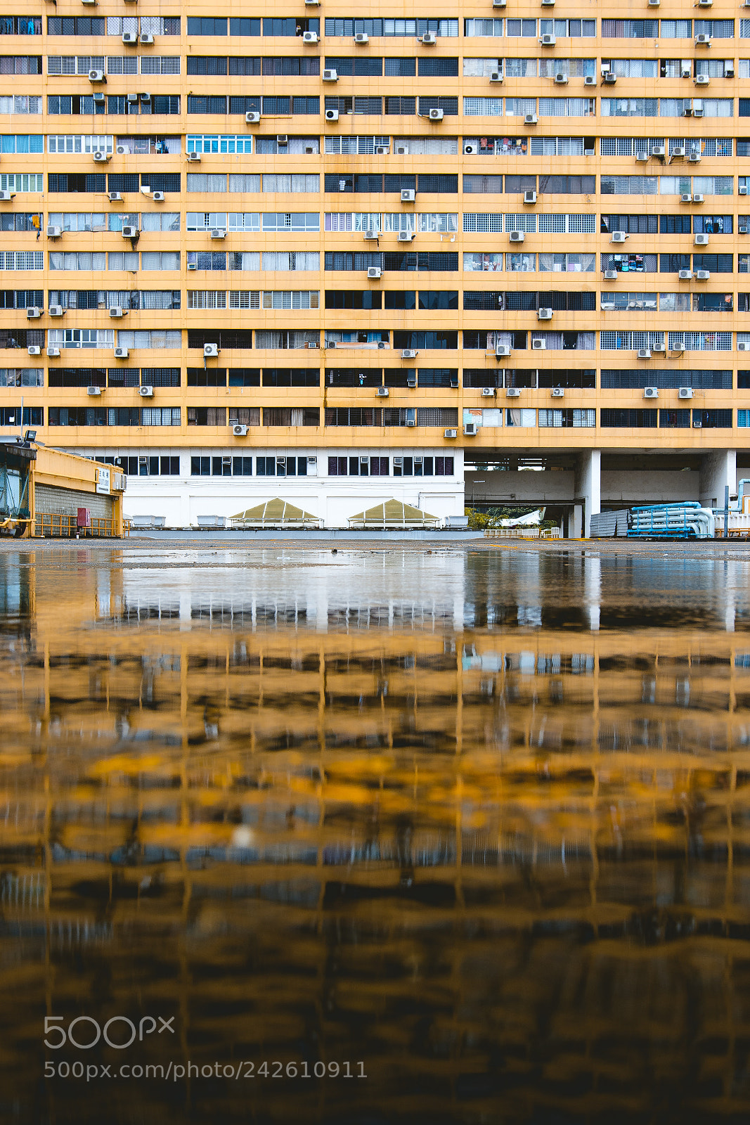 Canon EOS 7D Mark II sample photo. Surround yourself with really photography