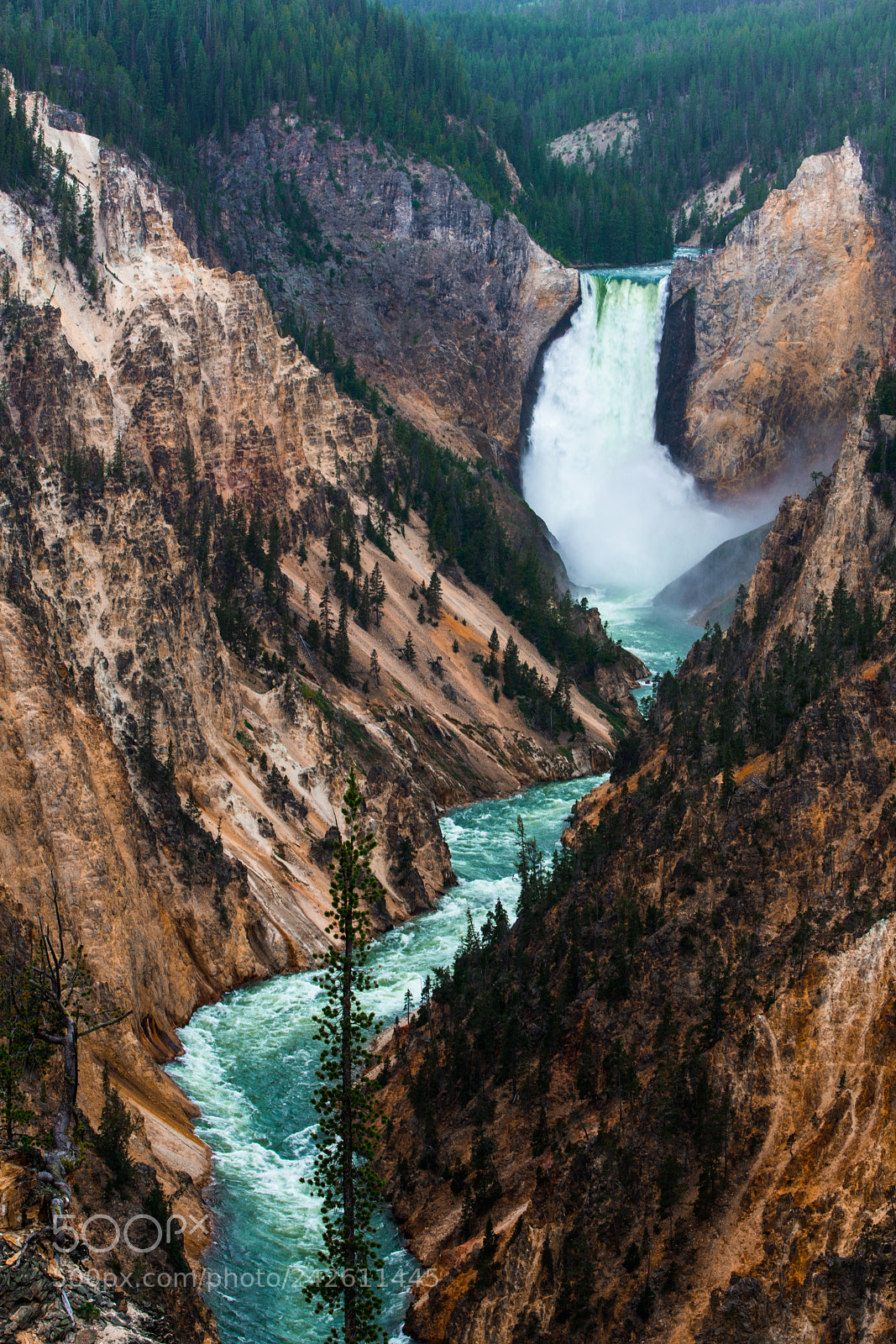 Nikon D7200 sample photo. Grand canyon of yellowstone photography