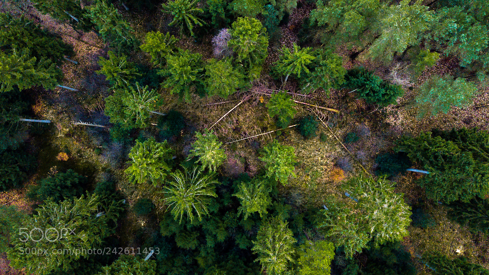 DJI FC220 sample photo. From above photography