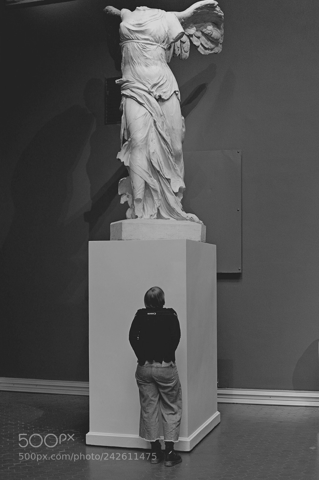 Nikon D700 sample photo. Looking to fly photography