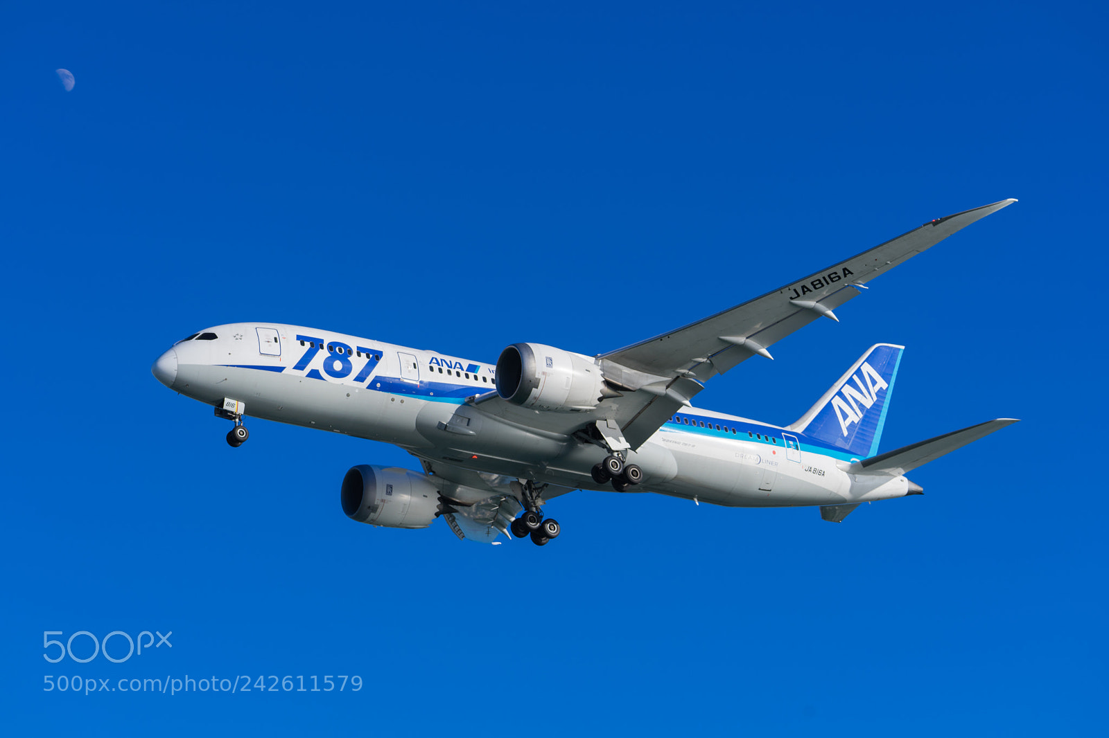 Sony a7 II sample photo. B787 photography