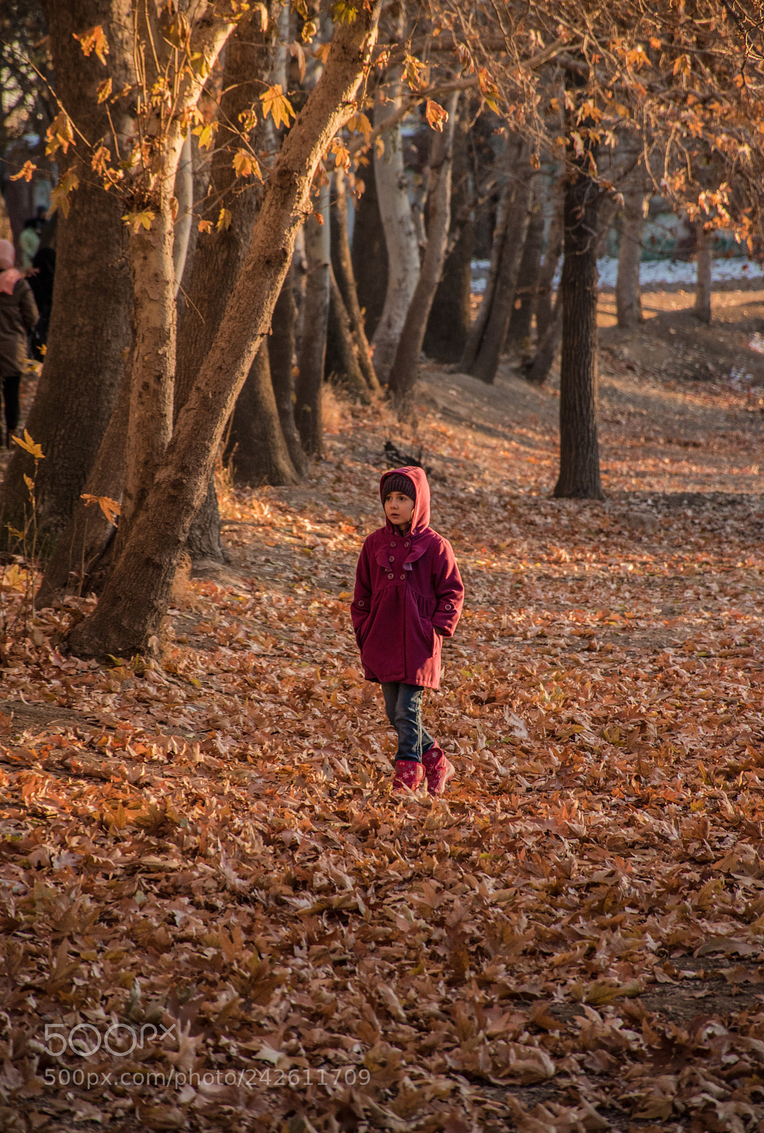 Nikon D5500 sample photo. دختر پاییز autumn girl photography