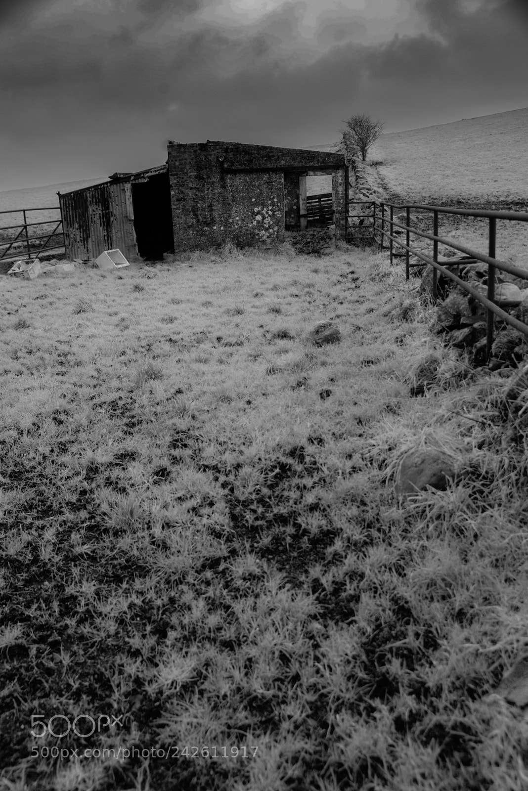 Nikon D610 sample photo. Abandoned farm building photography