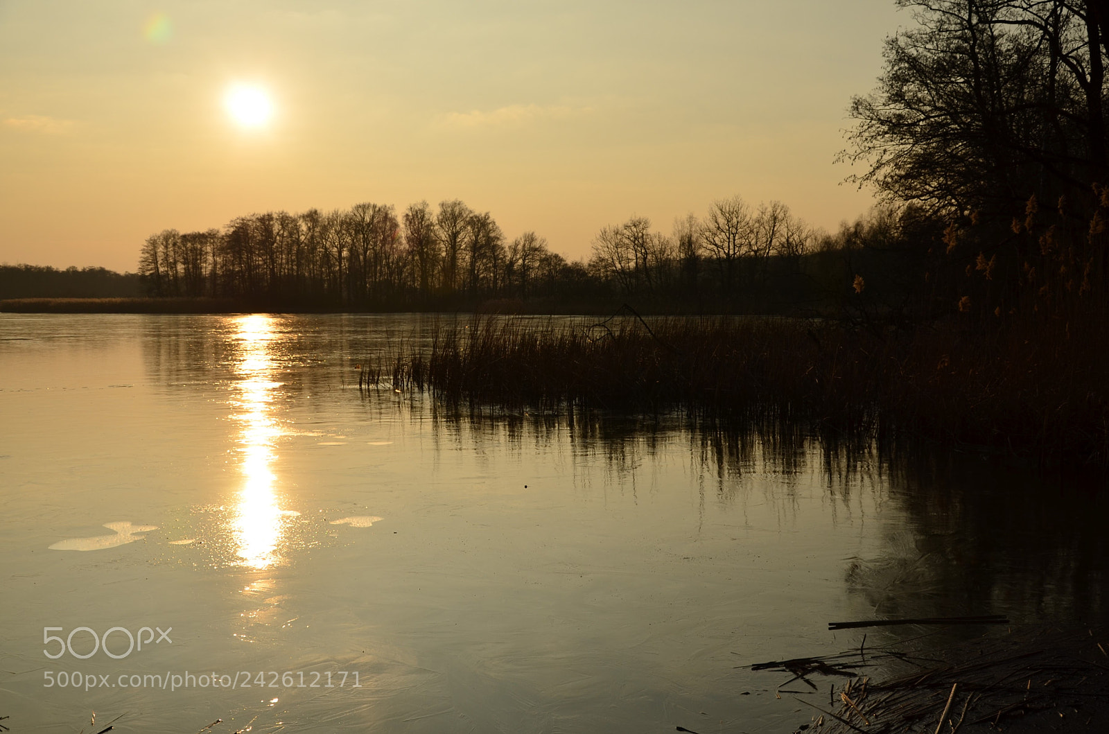 Nikon D5100 sample photo. 280 photography