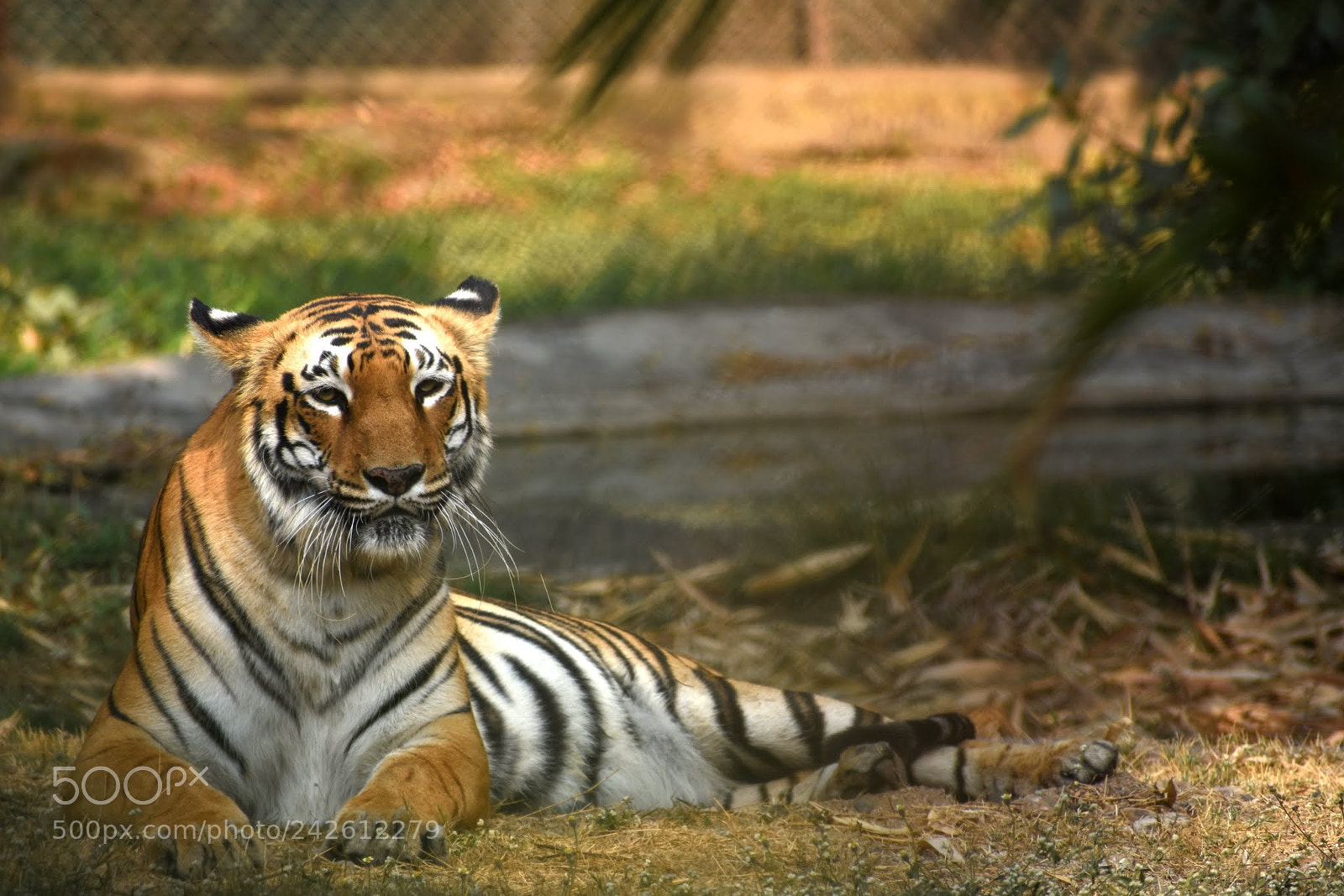 Nikon D7200 sample photo. Untitled photography