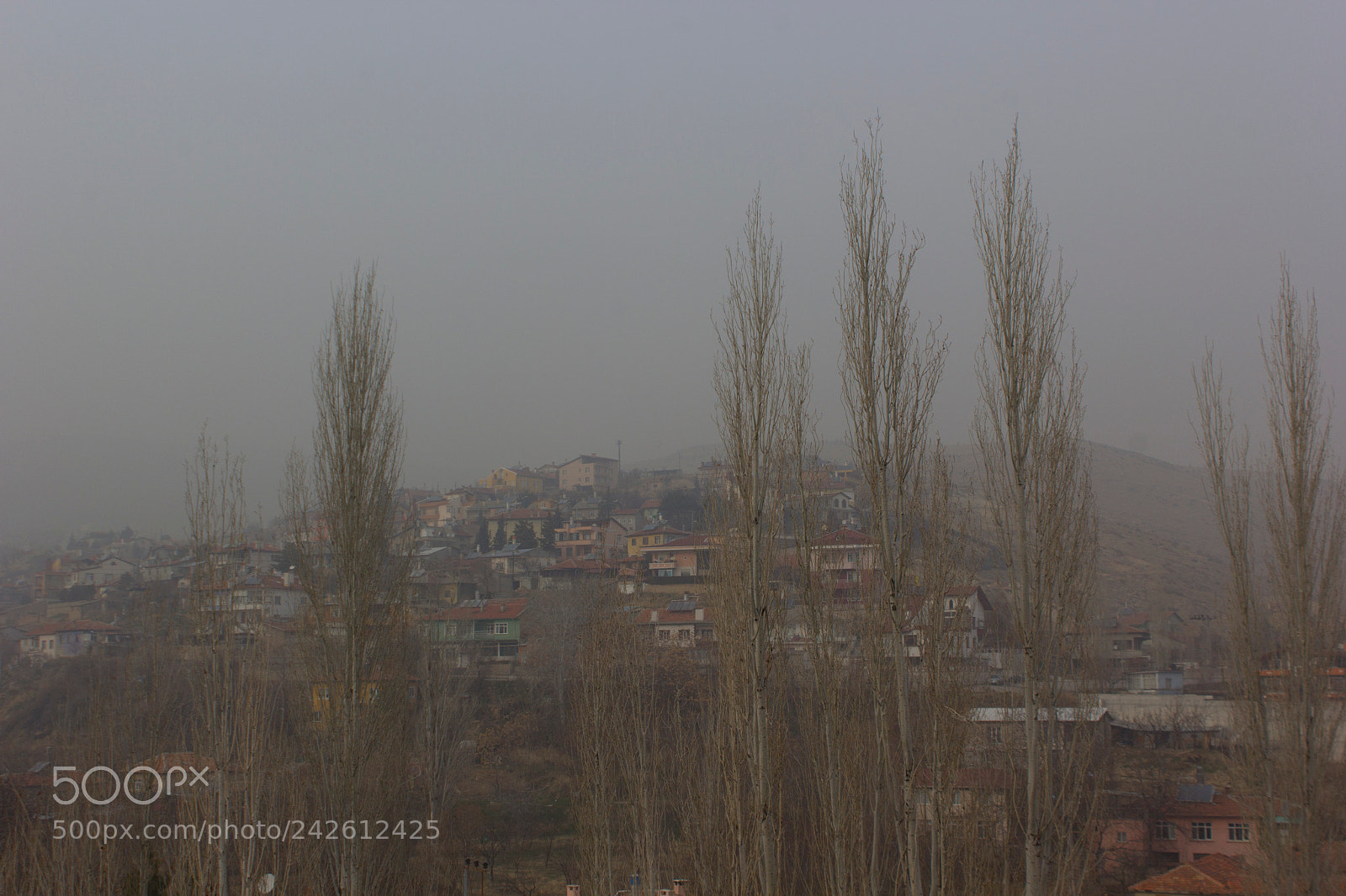 Canon EOS 60D sample photo. Fog photography