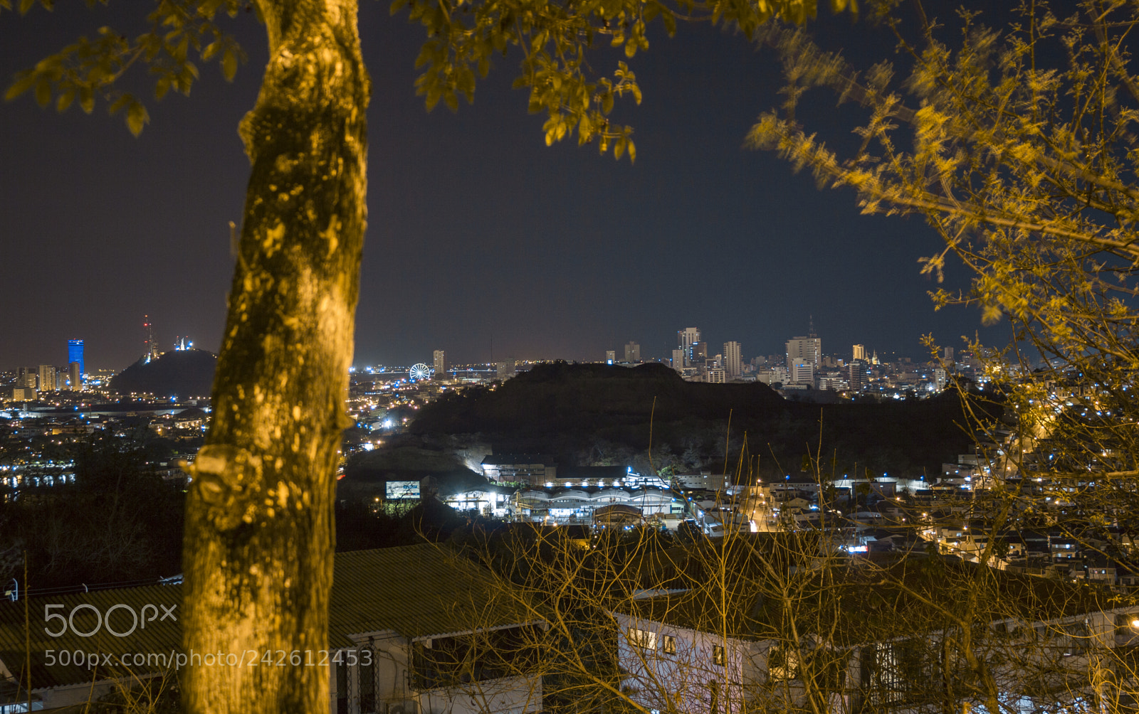 Canon EOS 60D sample photo. Guayaquil 2018 photography