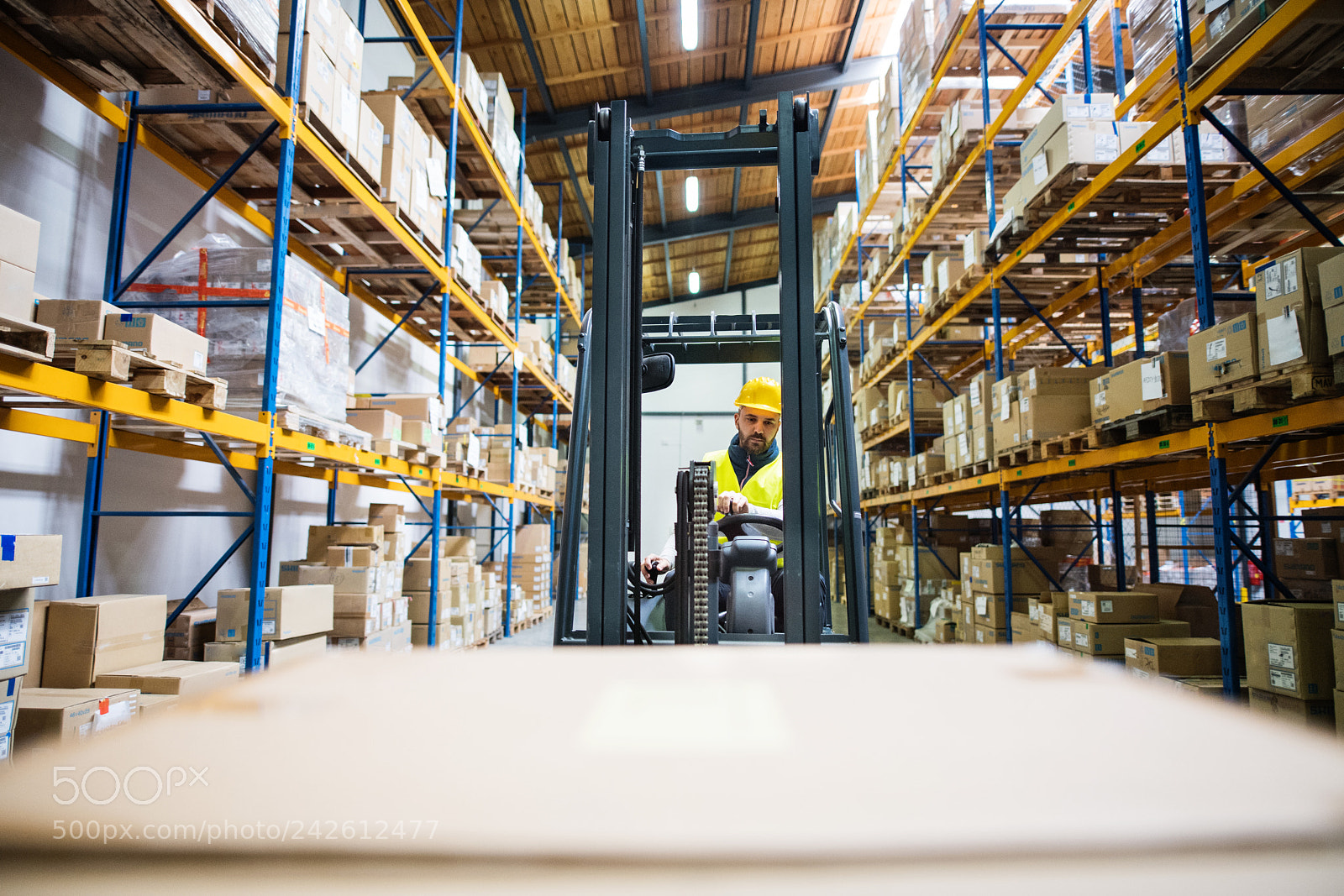 Nikon D5 sample photo. Warehouse man worker with photography