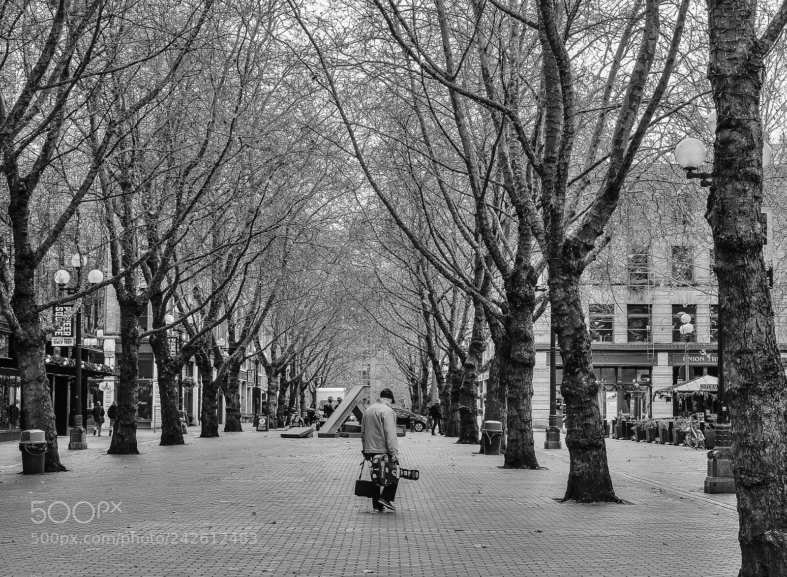 Fujifilm X-Pro2 sample photo. Walk through big trees photography