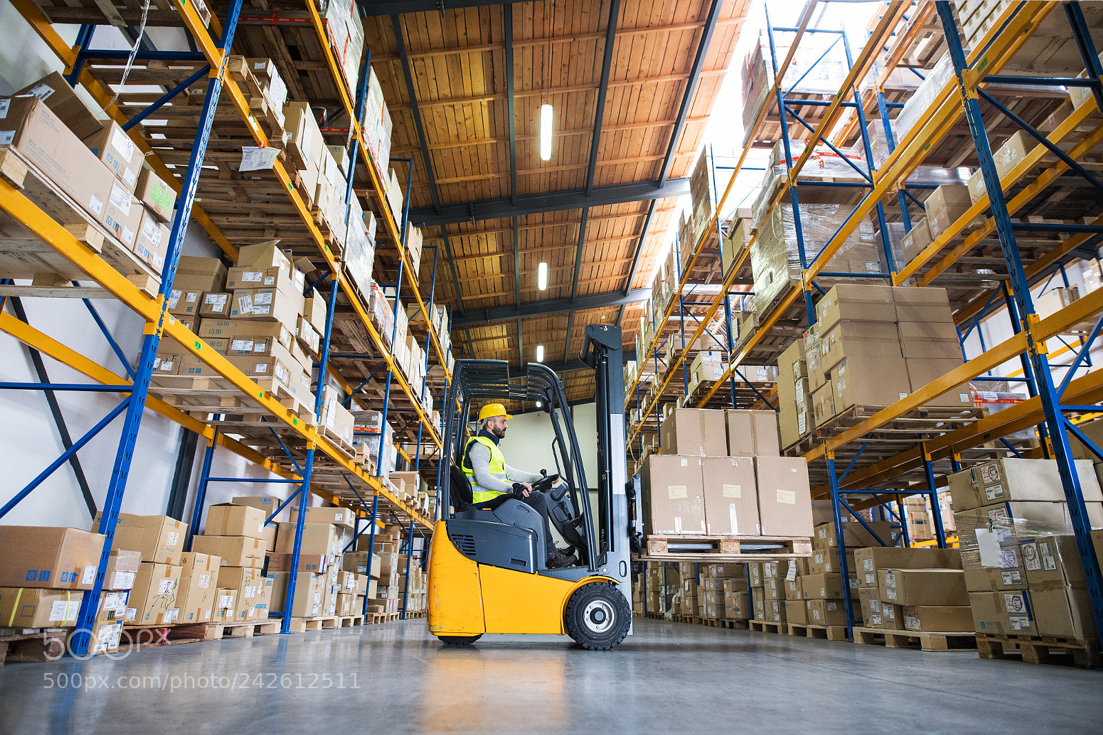 Nikon D5 sample photo. Warehouse man worker with photography
