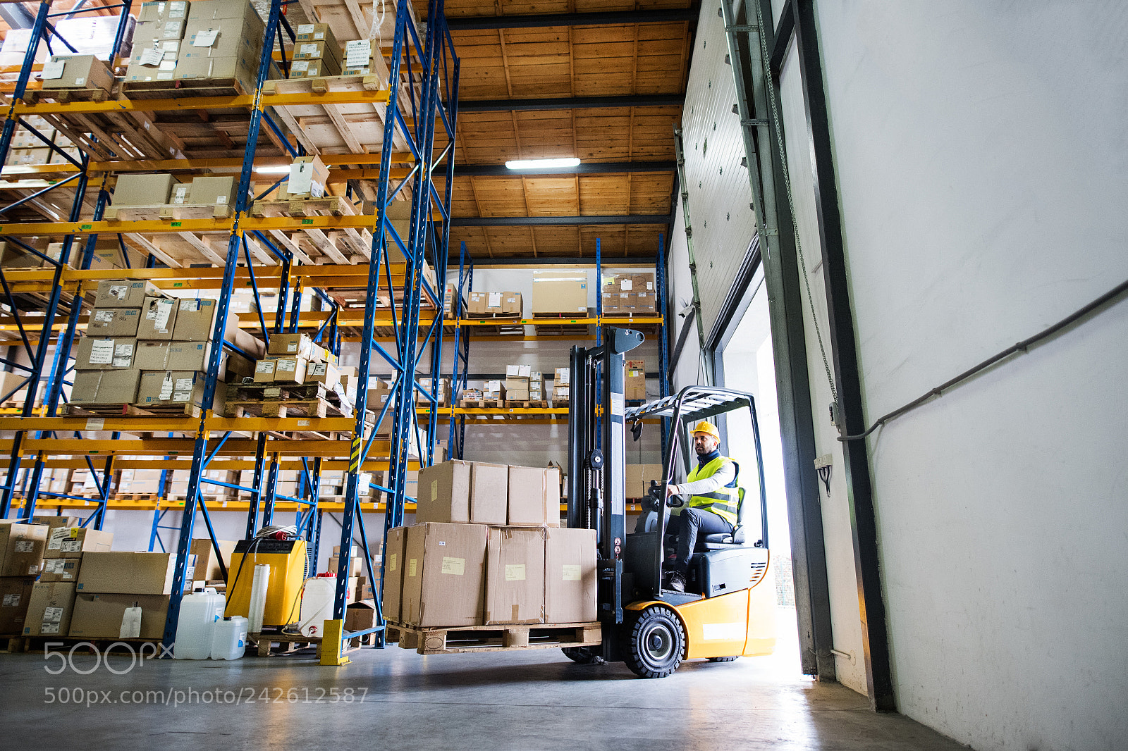 Nikon D5 sample photo. Warehouse man worker with photography