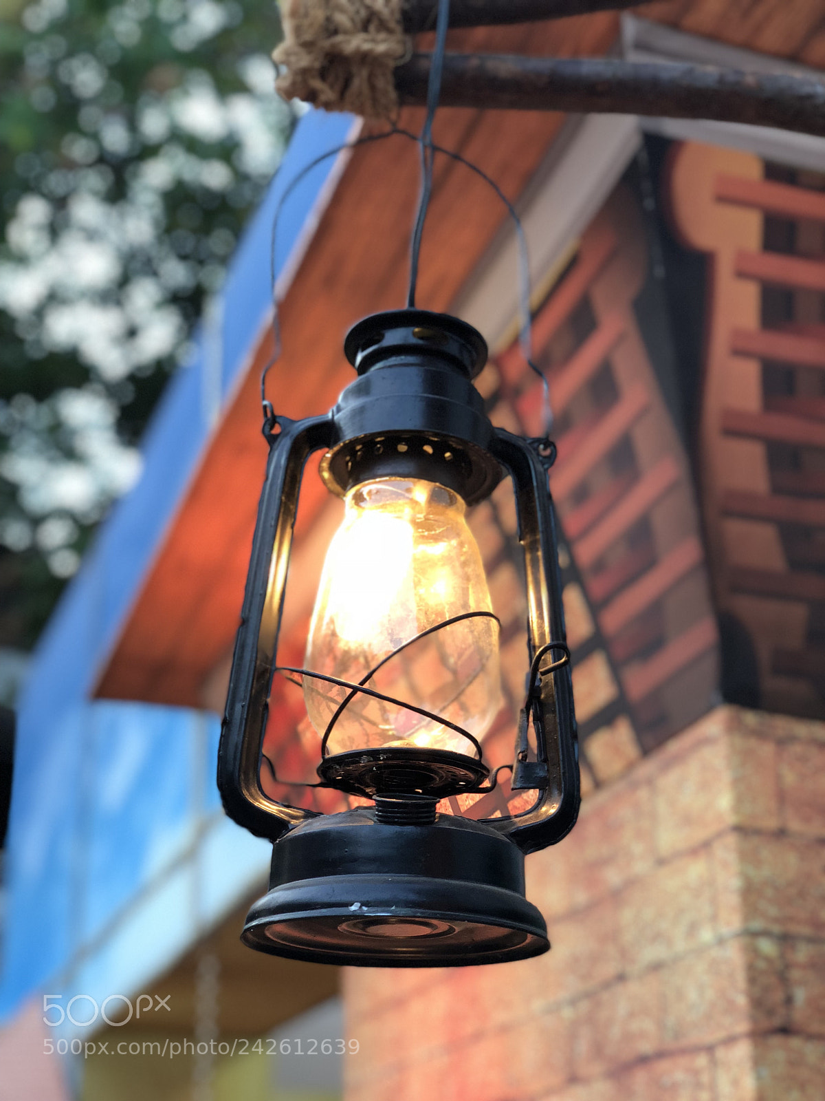 Apple iPhone X sample photo. Untitled photography