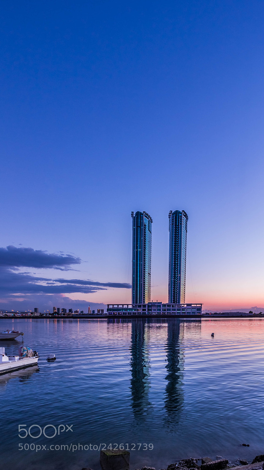 Canon EOS 60D sample photo. Twins tower photography