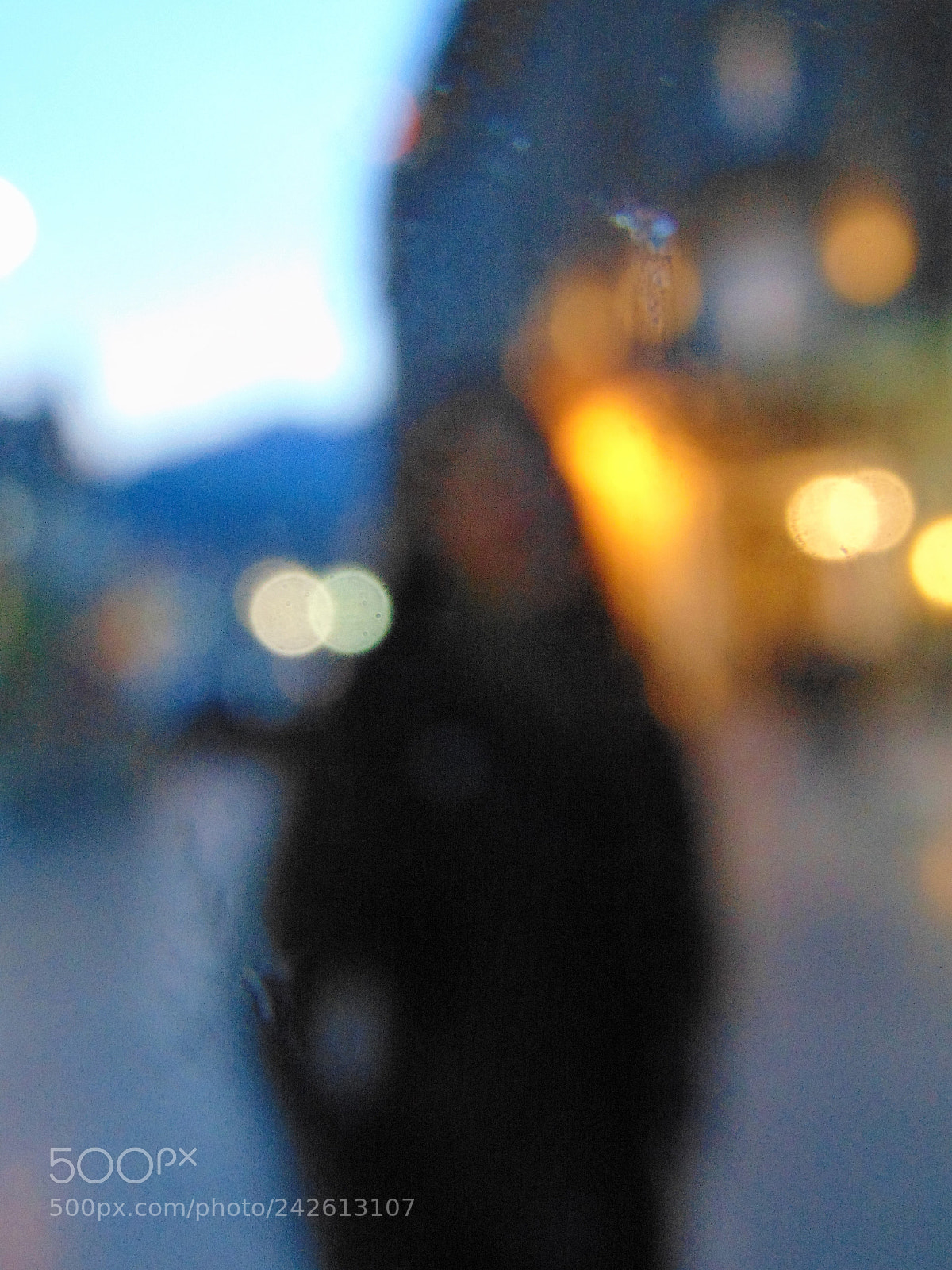 Sony Cyber-shot DSC-H300 sample photo. Unfocused photography